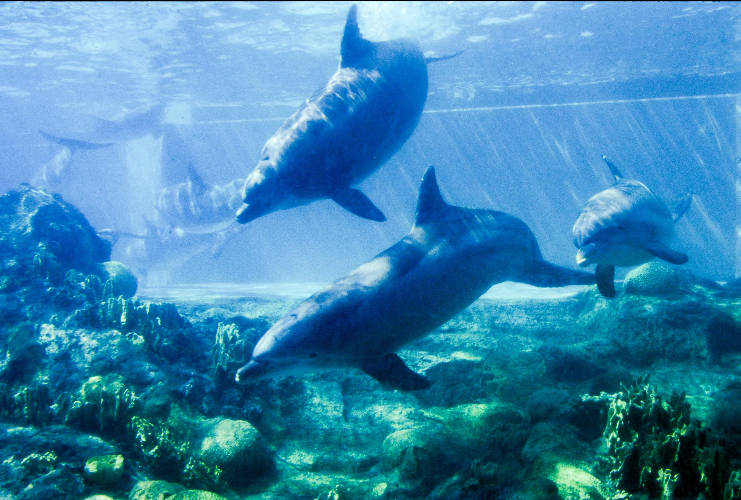 2004.10.9.17.jpg