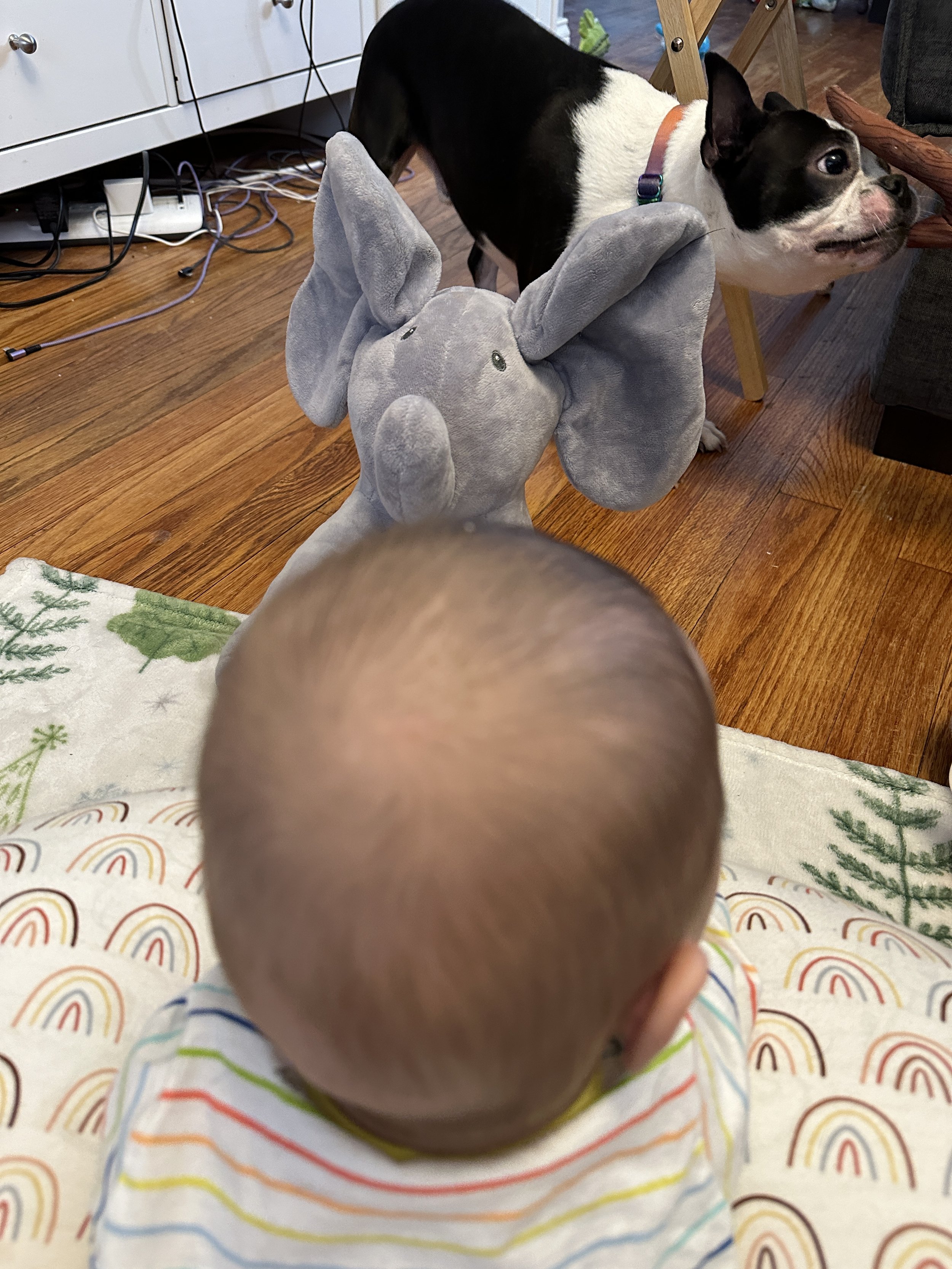 2024-01-20_09-09-43_973.jpeg
