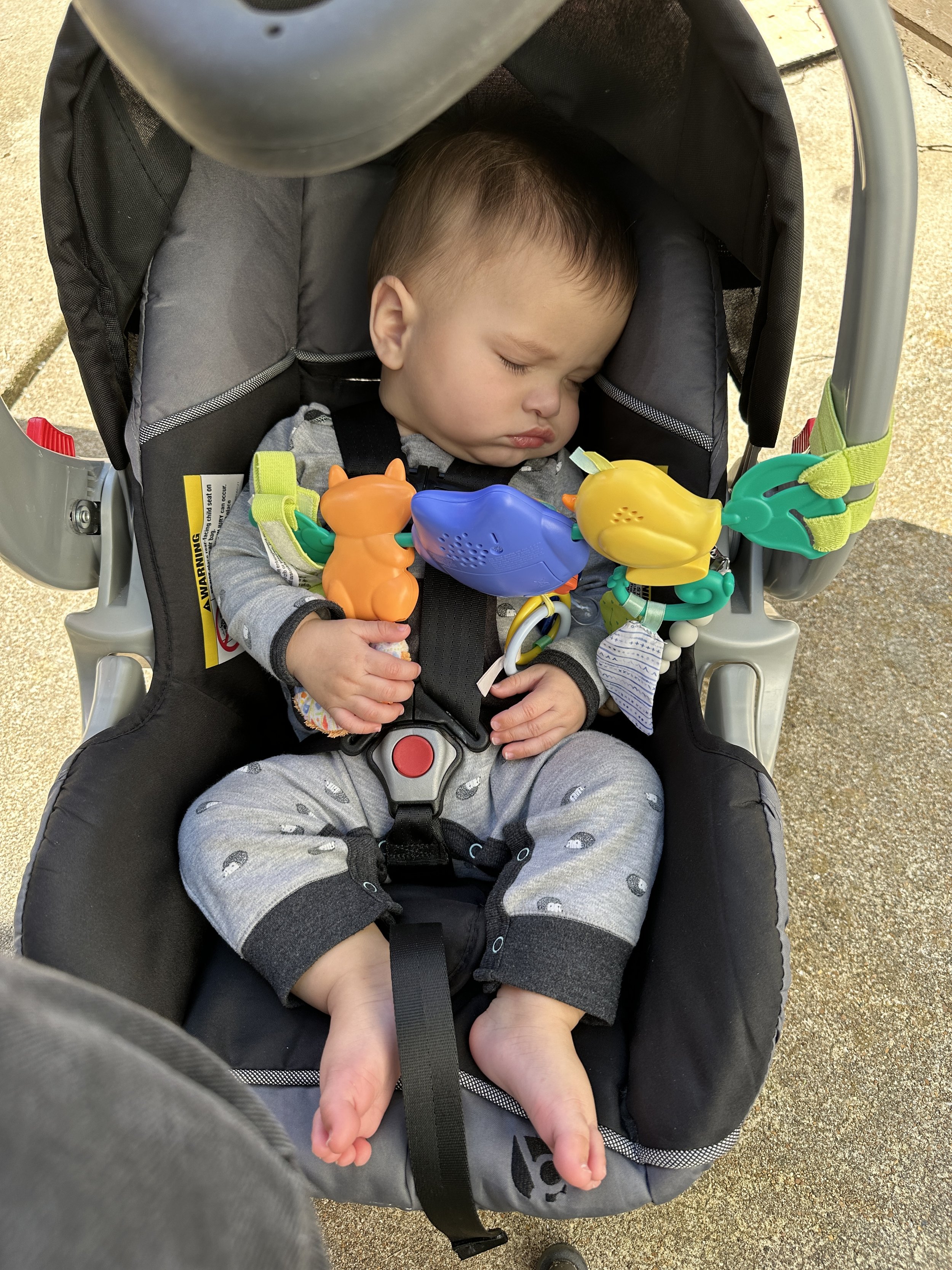 Oscar - Tuesday, May 7, 2024