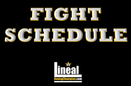 Fight schedule black square October 2.png