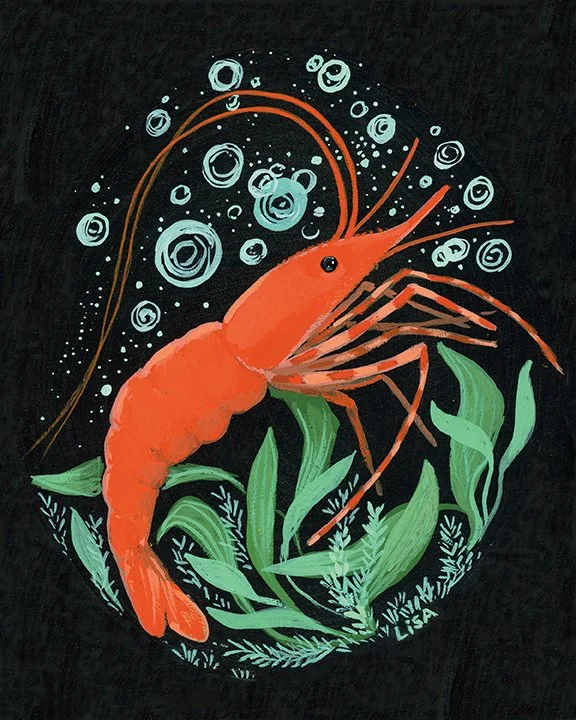 Tending The Garden (Delphine the Puget Sound Spot Shrimp) archival