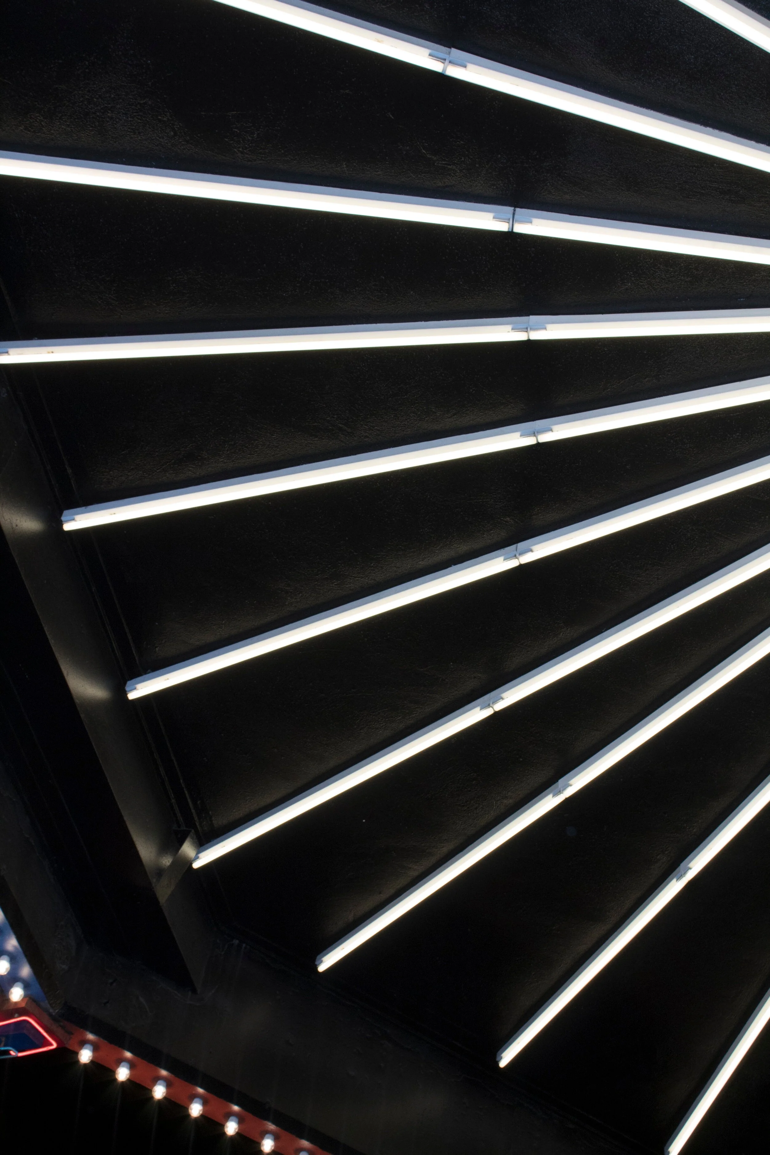  Night Walks  Photographer Tina Reeves 