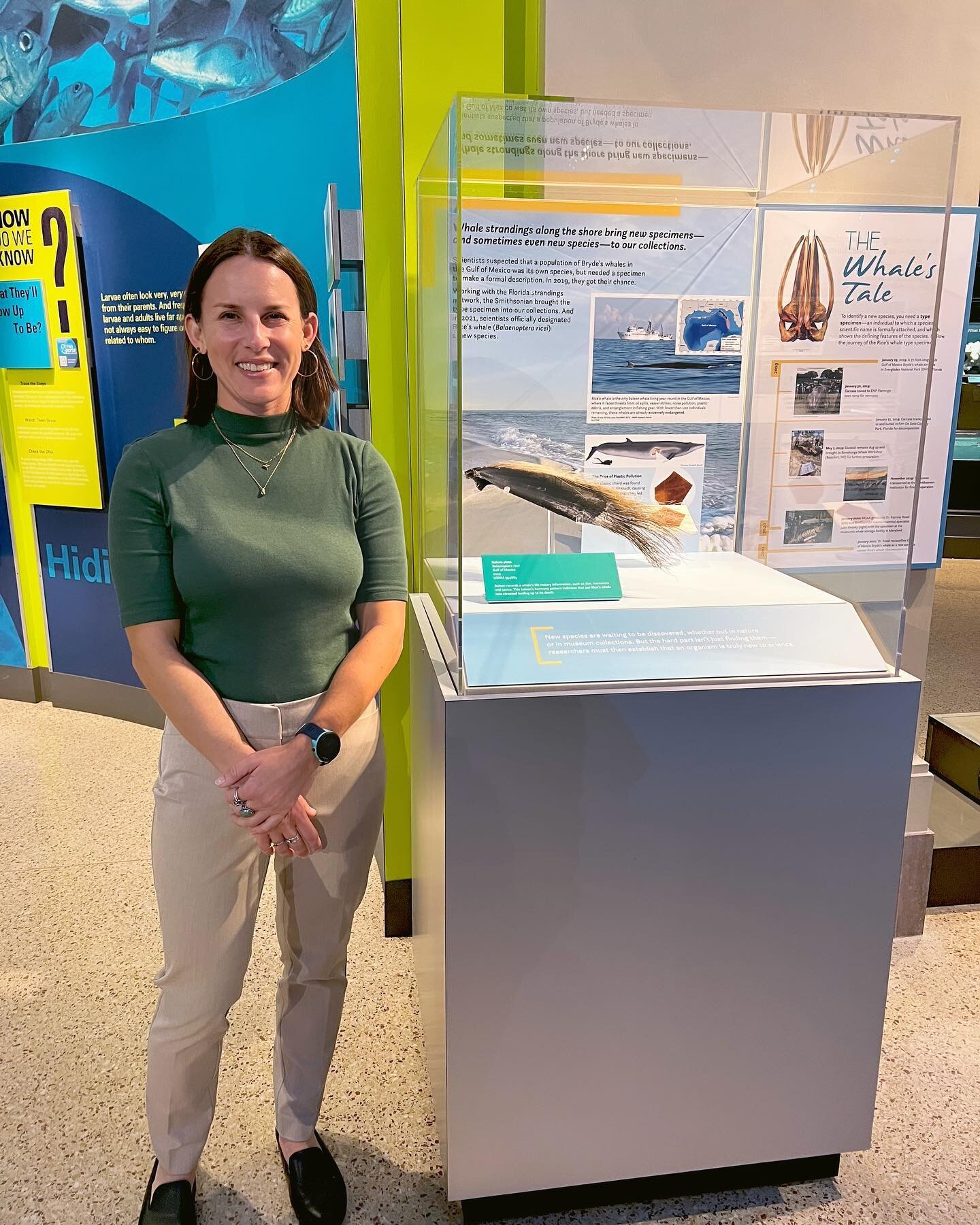 After years of dedicated work by various agencies, there is now a platform to educate people around the world about the story of a 38-foot baleen whale that died from ingesting plastic. In 2019, I created an infographic for FWC SWFL that explained th