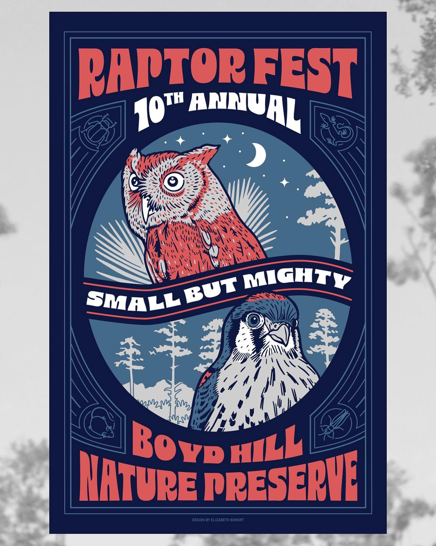 Another Raptor Fest in the books! This is one of my favorite projects to work on, and this year&rsquo;s theme was one close to my heart. Small but Mighty raises awareness of some of my favorite birds of prey here in Tampa Bay. 

Eastern Screech Owls 