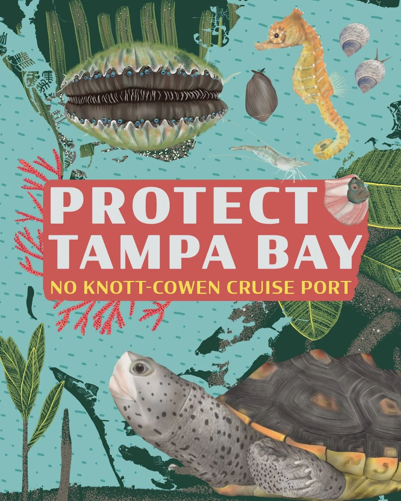 Tampa Bay is home to a diverse estuary ecosystem, with seagrass beds, coastal wetlands and critical hard-bottom habitat. The community has worked together over the last 30 years to improve the water quality throughout the watershed, but this is all a