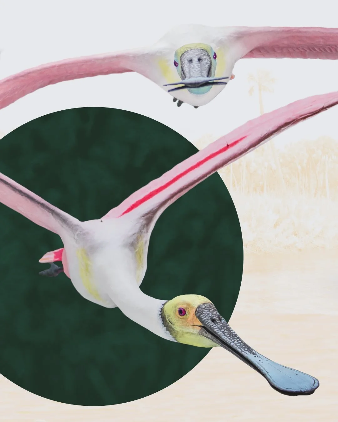 After months of research, building, sanding, sculpting, and painting, my first art installation is complete! Building these birds was an amazing experience, and I am so excited to share them all with you this weekend, January 9-11 as St. Pete Athleti