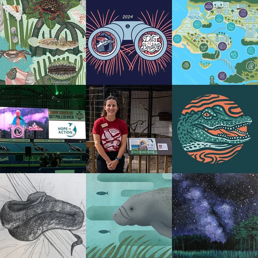 Looking back on 2024, I am so happy I took the leap to focus my work on things I am passionate about. From exploring Tampa Bay&rsquo;s estuaries, to researching Florida birds for Boyd Hill Nature Preserve&rsquo;s new aviary signage, to the dream come