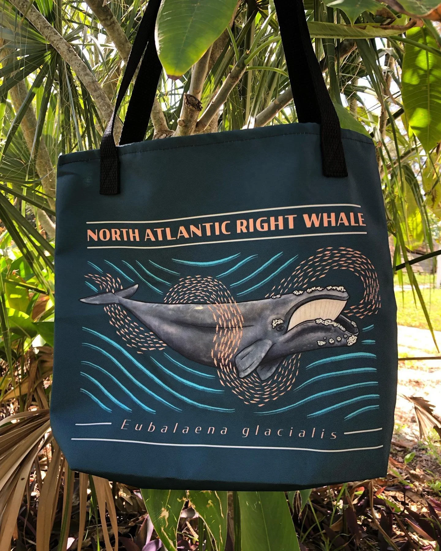 I&rsquo;m excited to share a couple new products I&rsquo;m launching for Right Whale Fest this weekend in Fernandina Beach! North Atlantic Right Whale Tote and Rice&rsquo;s Whale 15oz Mug are both live on my online shop, link in bio!

I will hopefull