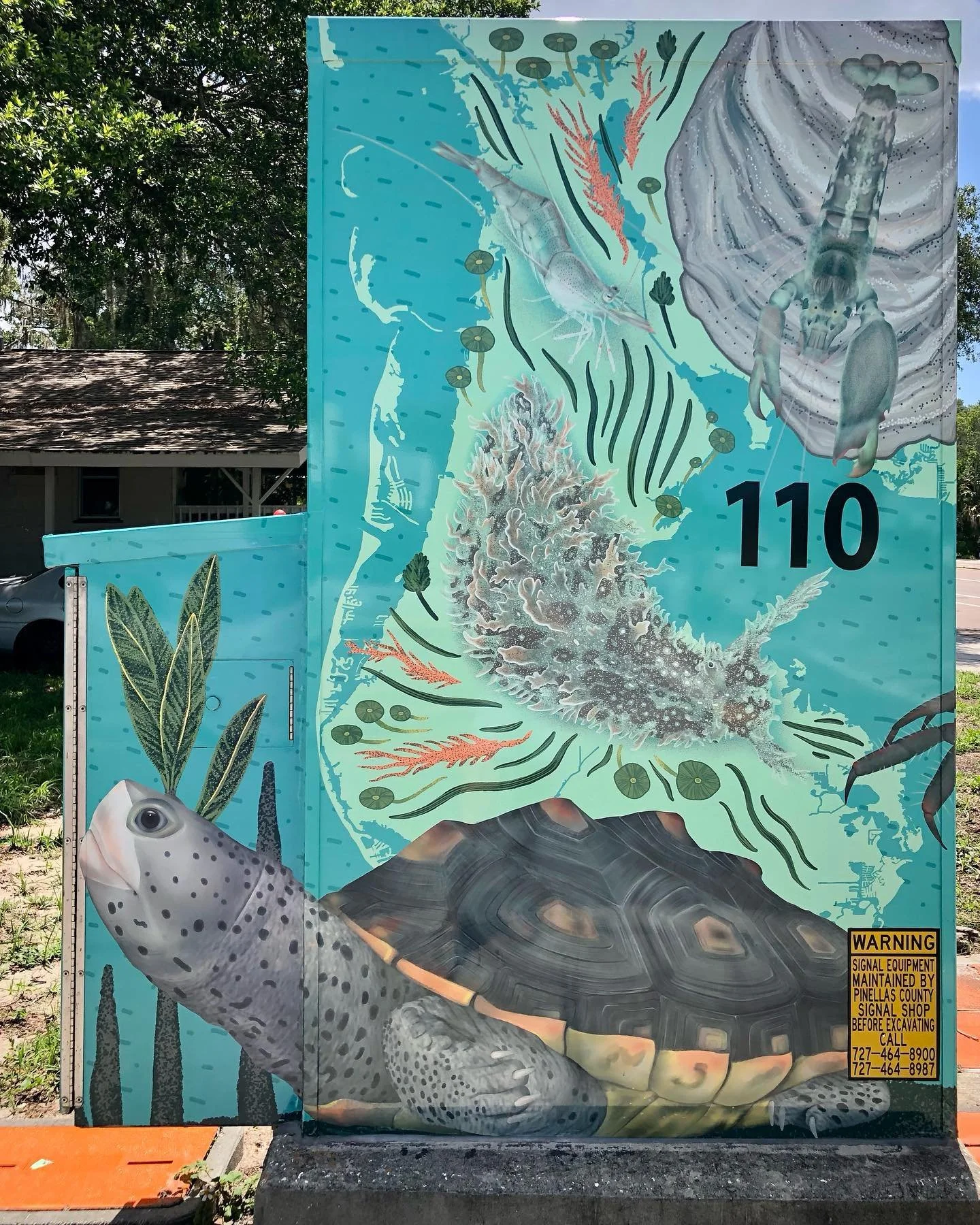 Growing up in Florida, I have always loved snorkeling. Floating in the shallows finding the tiny creatures that make up the seagrass beds. When I found out that I had been selected by @pinellasgov and @creativepinellas for the 2024 Signal Box project