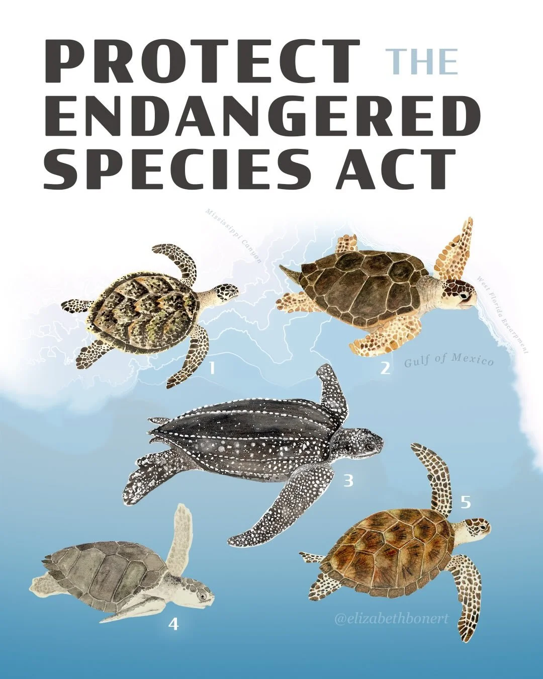 For over 50 years the Endangered Species Act has been protecting species from extinction. The U.S. House of Representatives will be voting on sweeping legislation that would dismantle the protections it provides, making it easier for fossil fuel comp