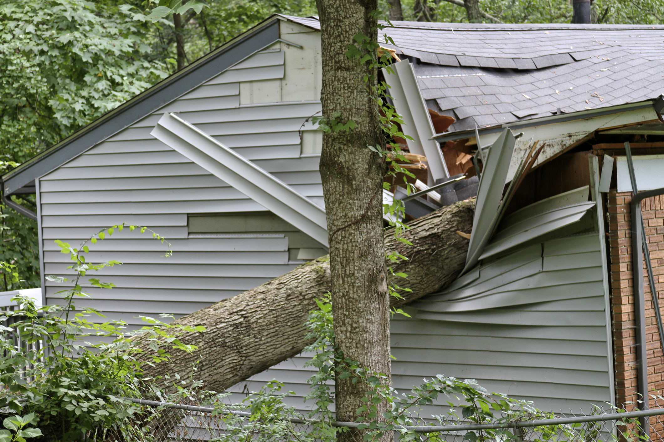 Дома сломанный крышей. Сломанная крыша. Дерево упало на частный дом. Упавшее дерево на даче. Дерево упало на дачный дом.