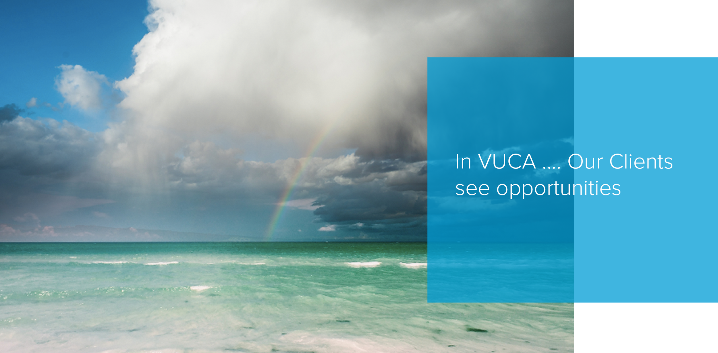vuca.png