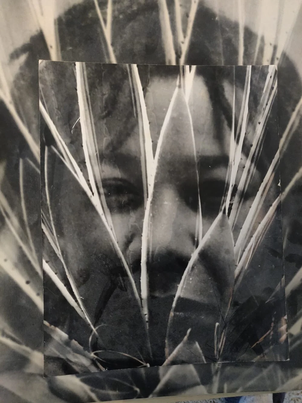 WhatsApp Image 2020-11-25 at 2.59.36 PM.jpeg