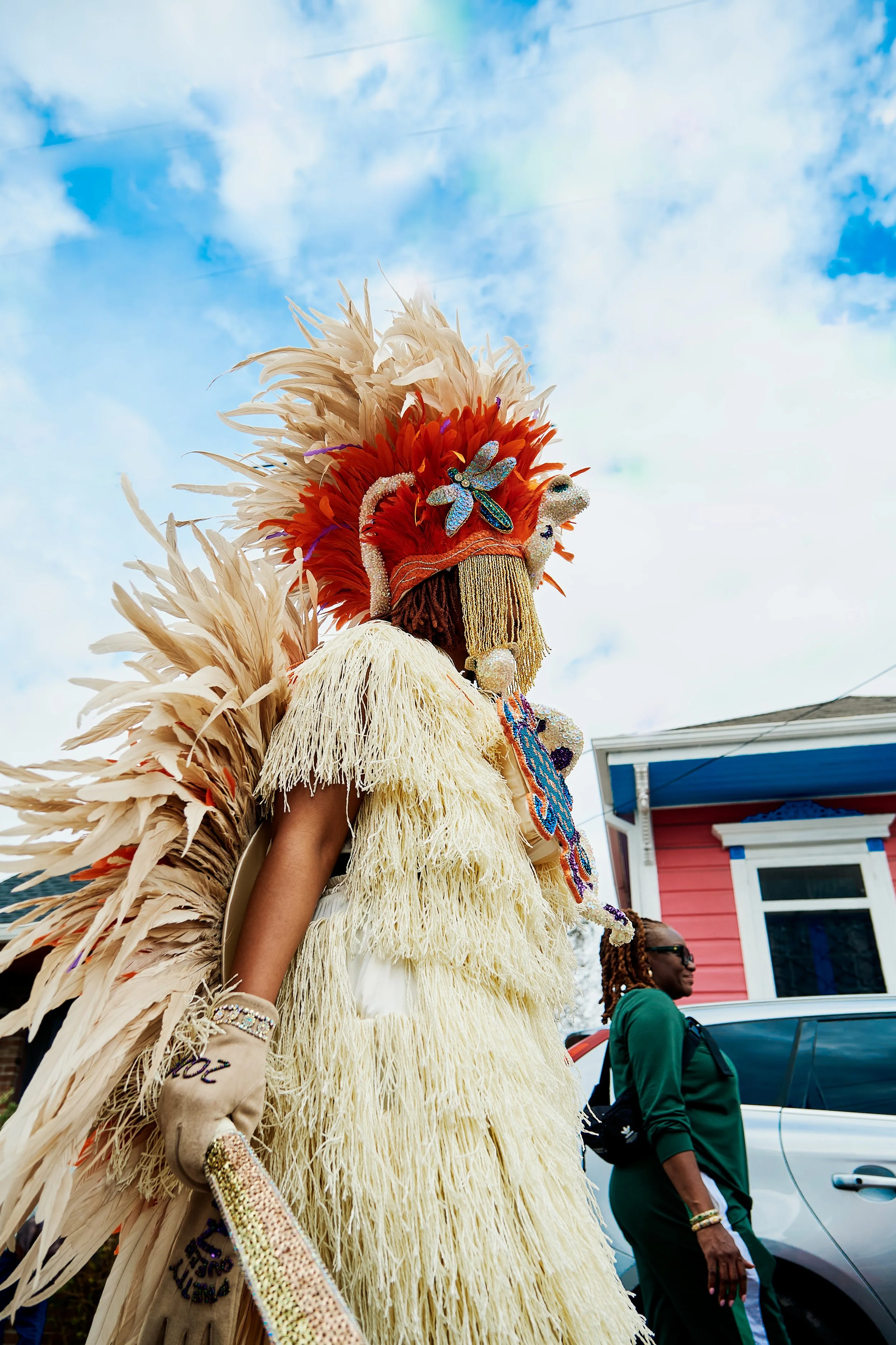 MardiGrasBGX 1023PREVIEW.jpg