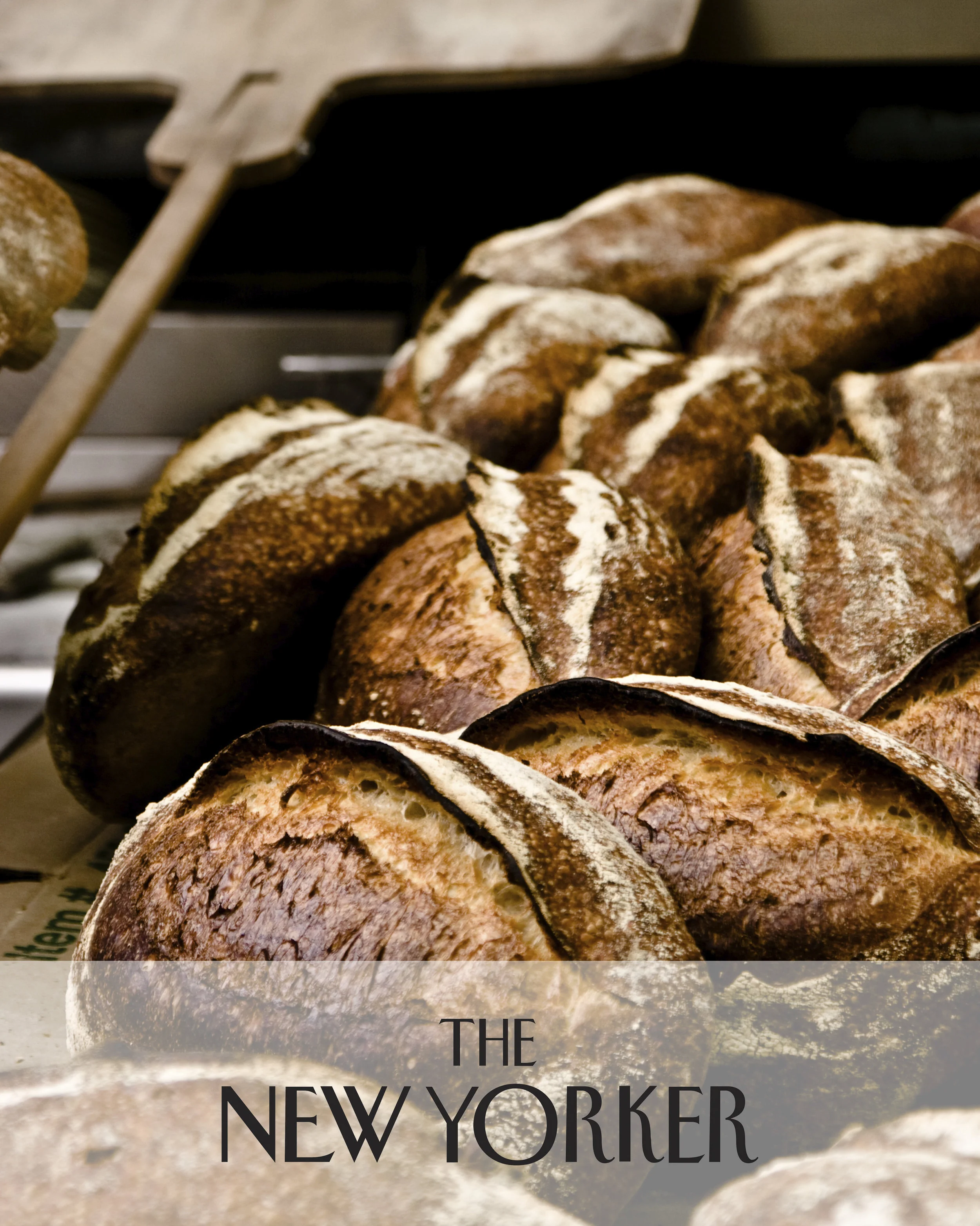 NewYorker_Tartine.jpg