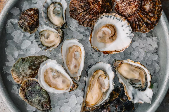 Hog Island Oyster Co.