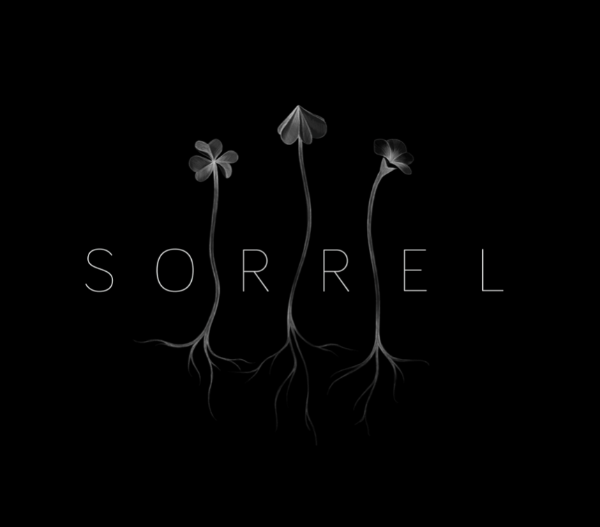 Sorrel