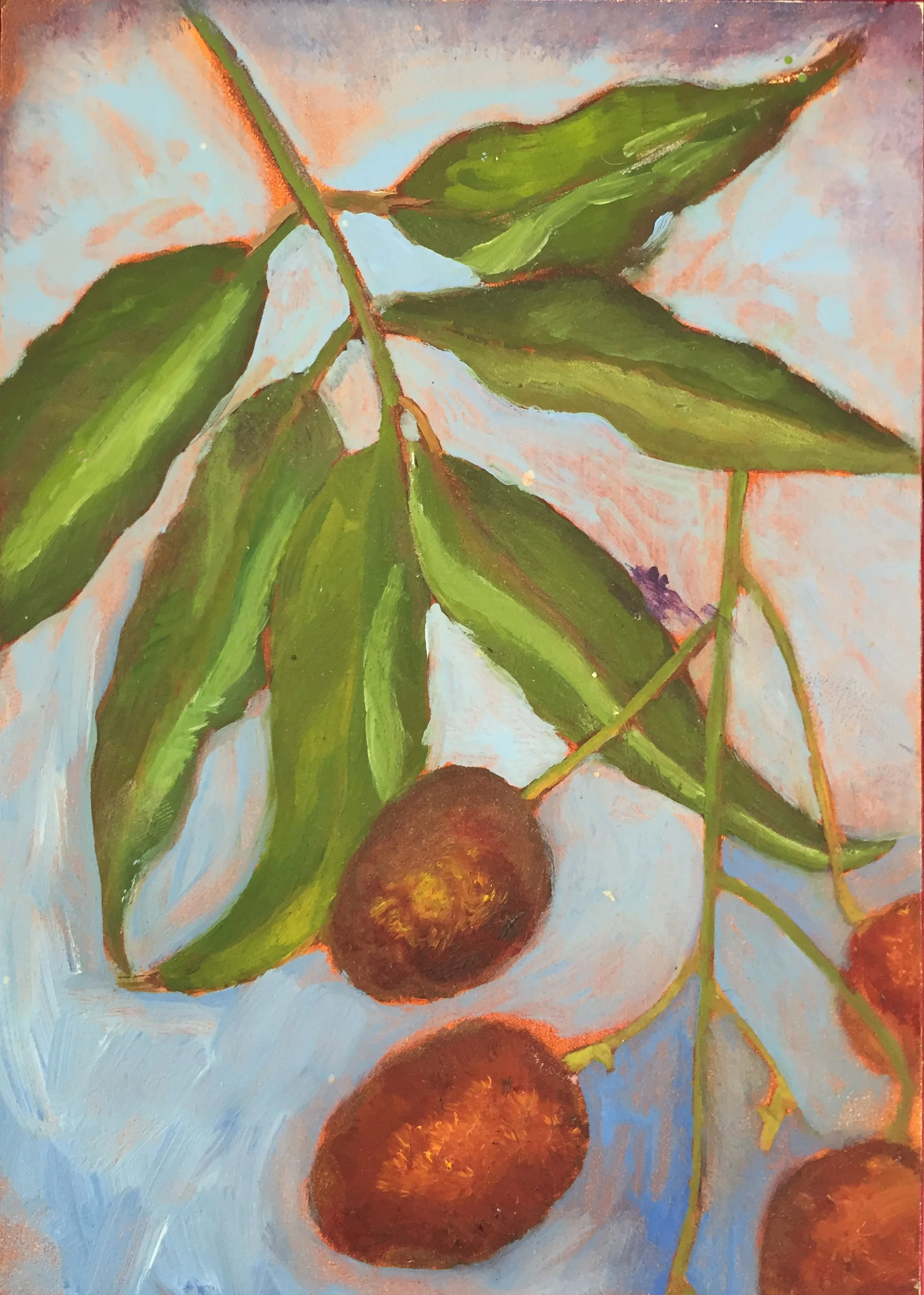 botanical_forclasses.jpg (Copy)