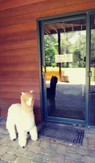 Entrance.jpg