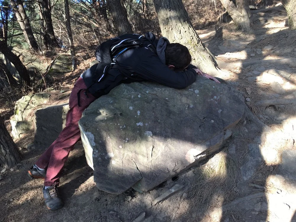 This was our rest stop on the way to the top...obviously.