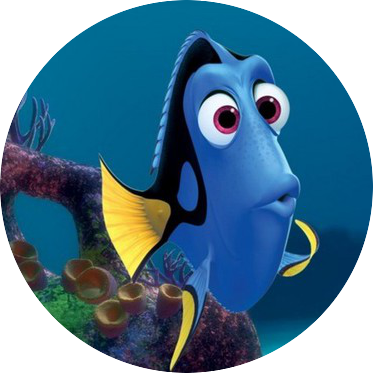 c324b-dory.png