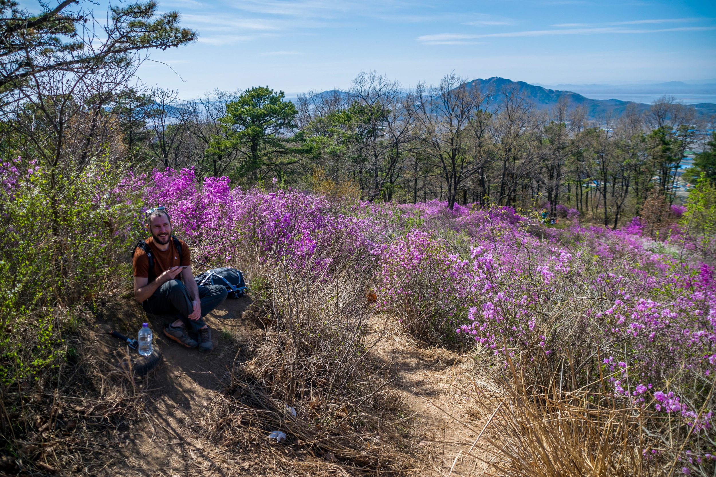 20180420-_dsc0944azalea.jpg