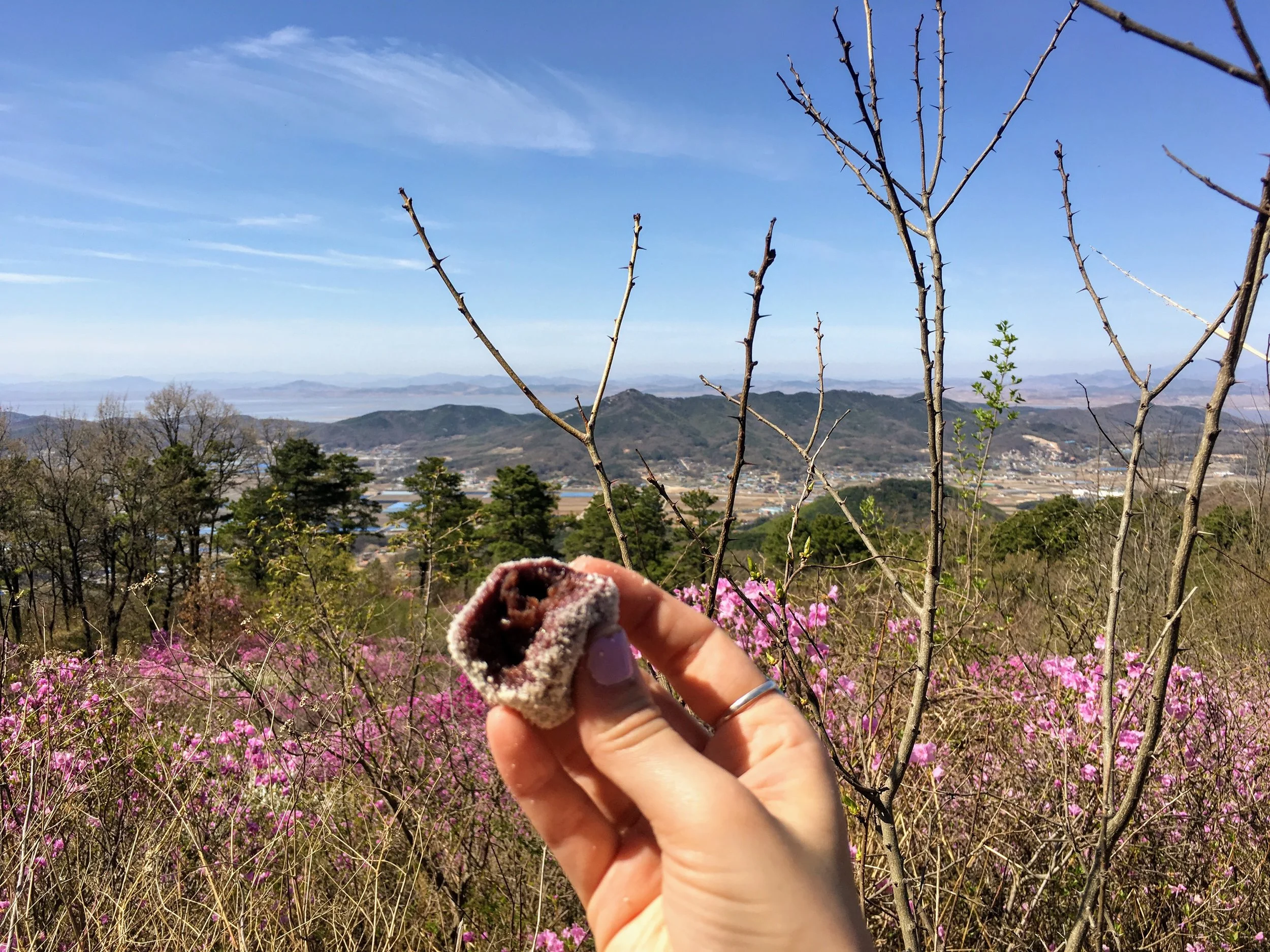 Tteok - Korean Rice Cake dessert