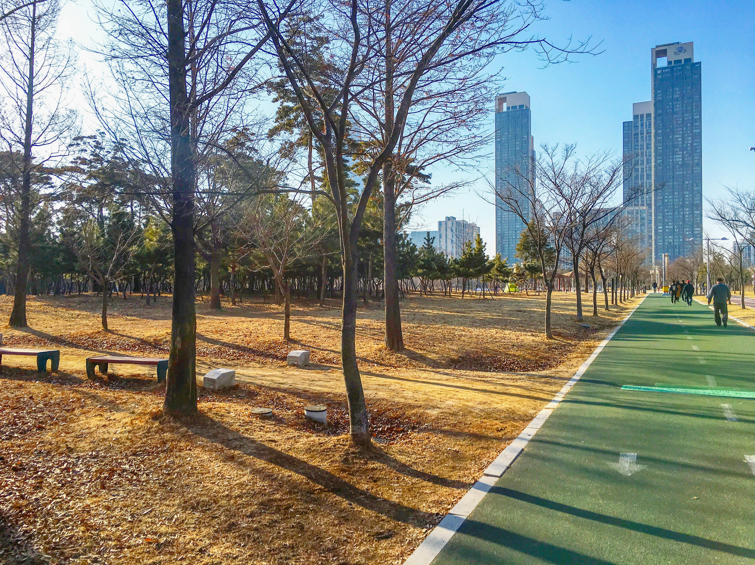 20180225-img_7325edited.jpg
