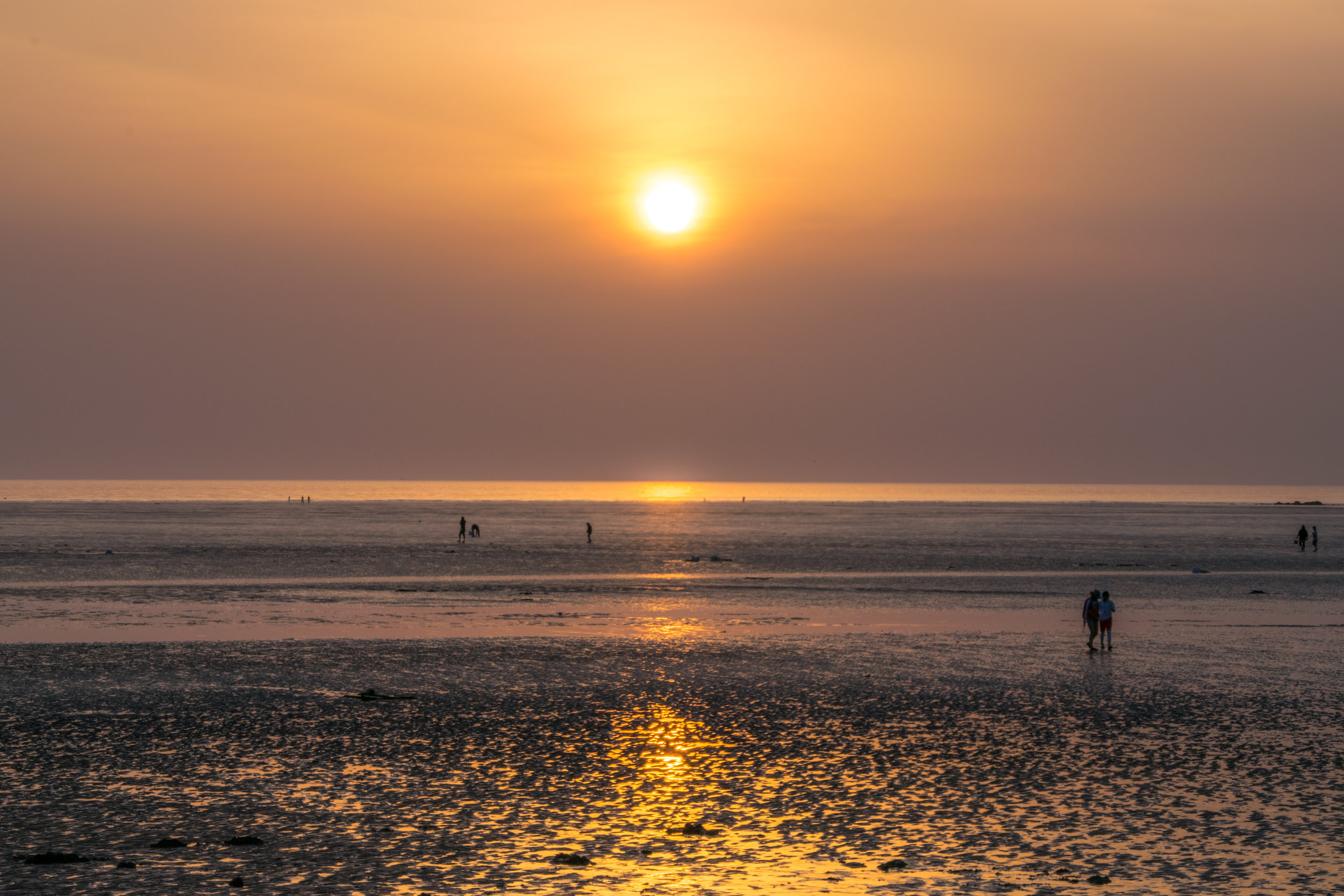 20180525-_DSC0490edited.jpg
