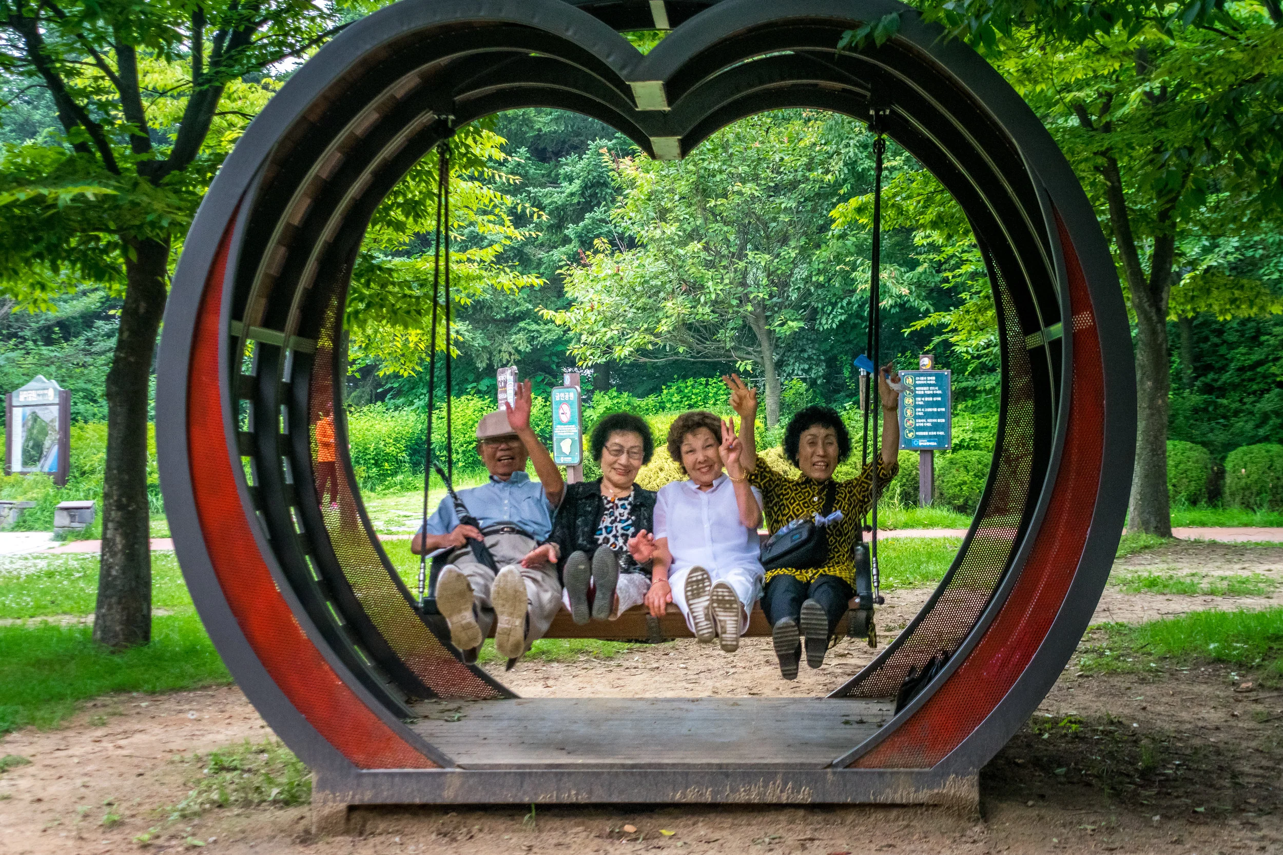 These adorable Korean elders laughing and posing on a swing at the top of the park!