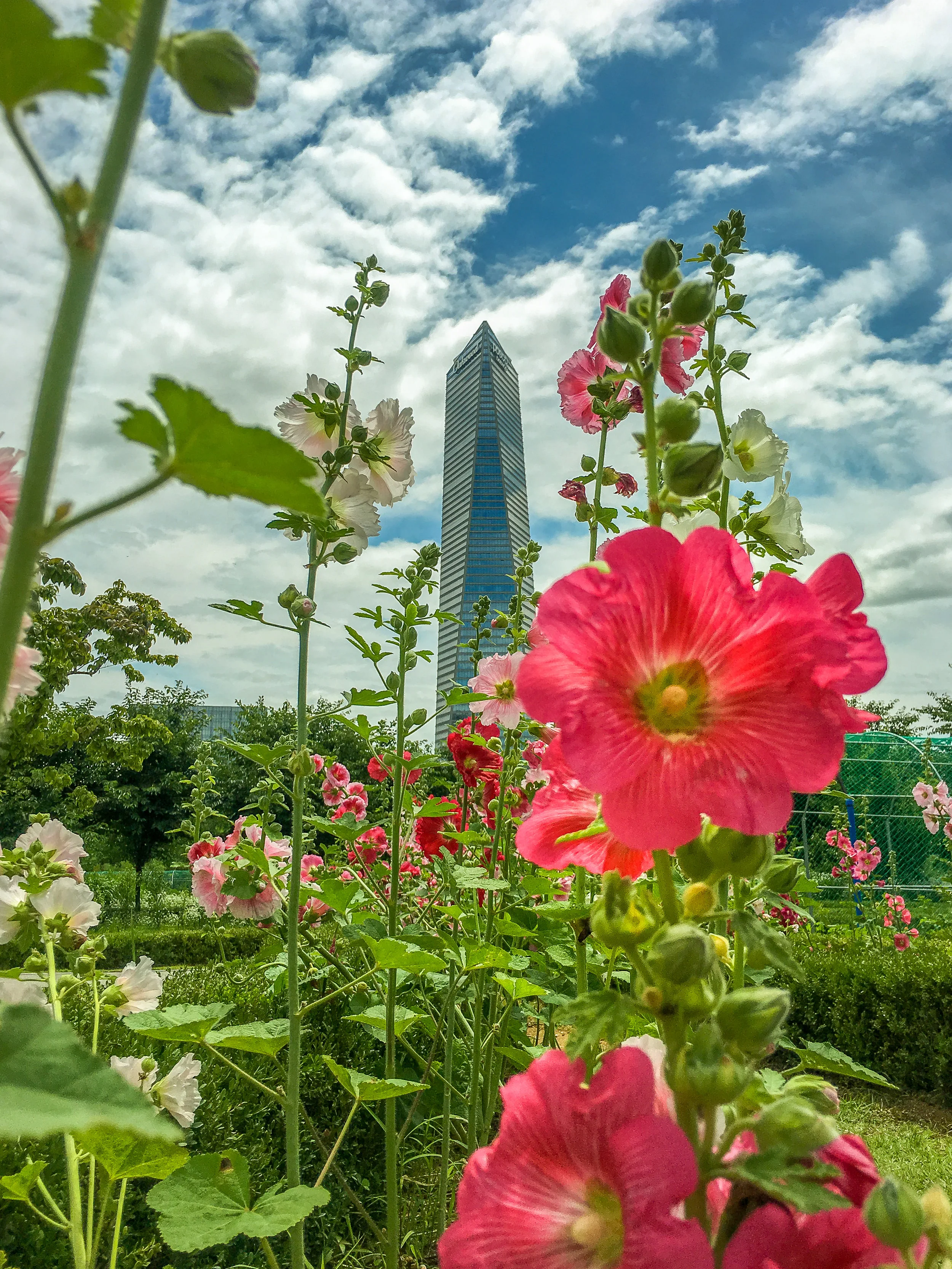 20180706-IMG_9196_santos-korea.jpg