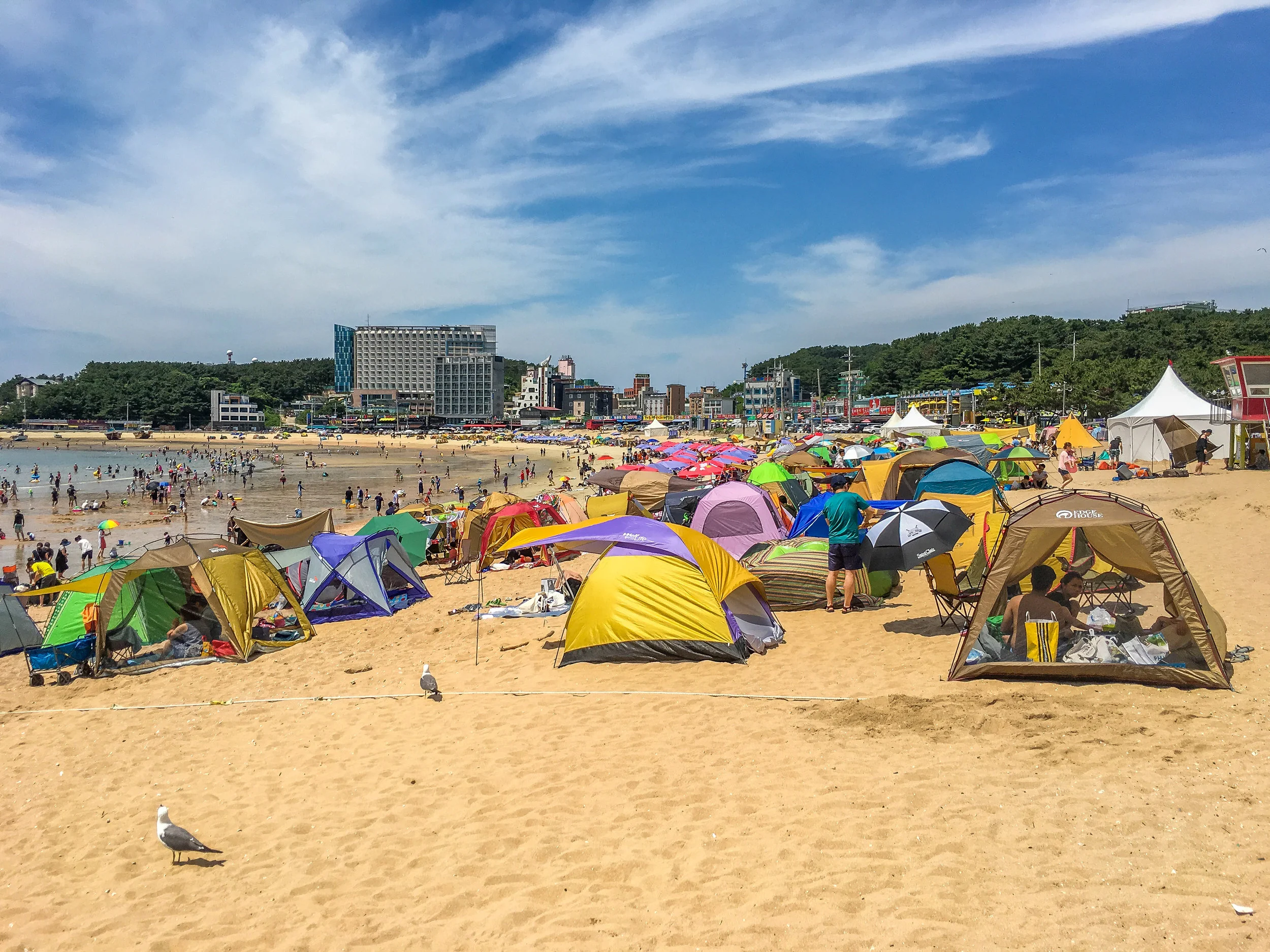 20180707-IMG_9244_santos-korea.jpg