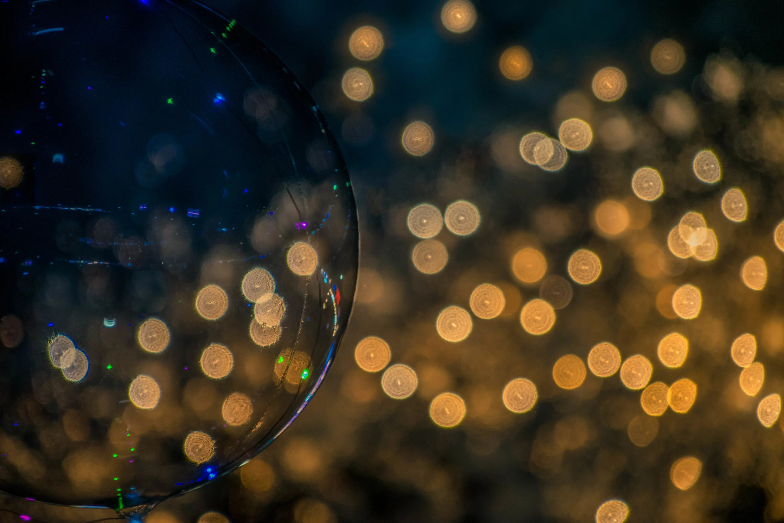 20180901-_DSC0537-Edit.jpg