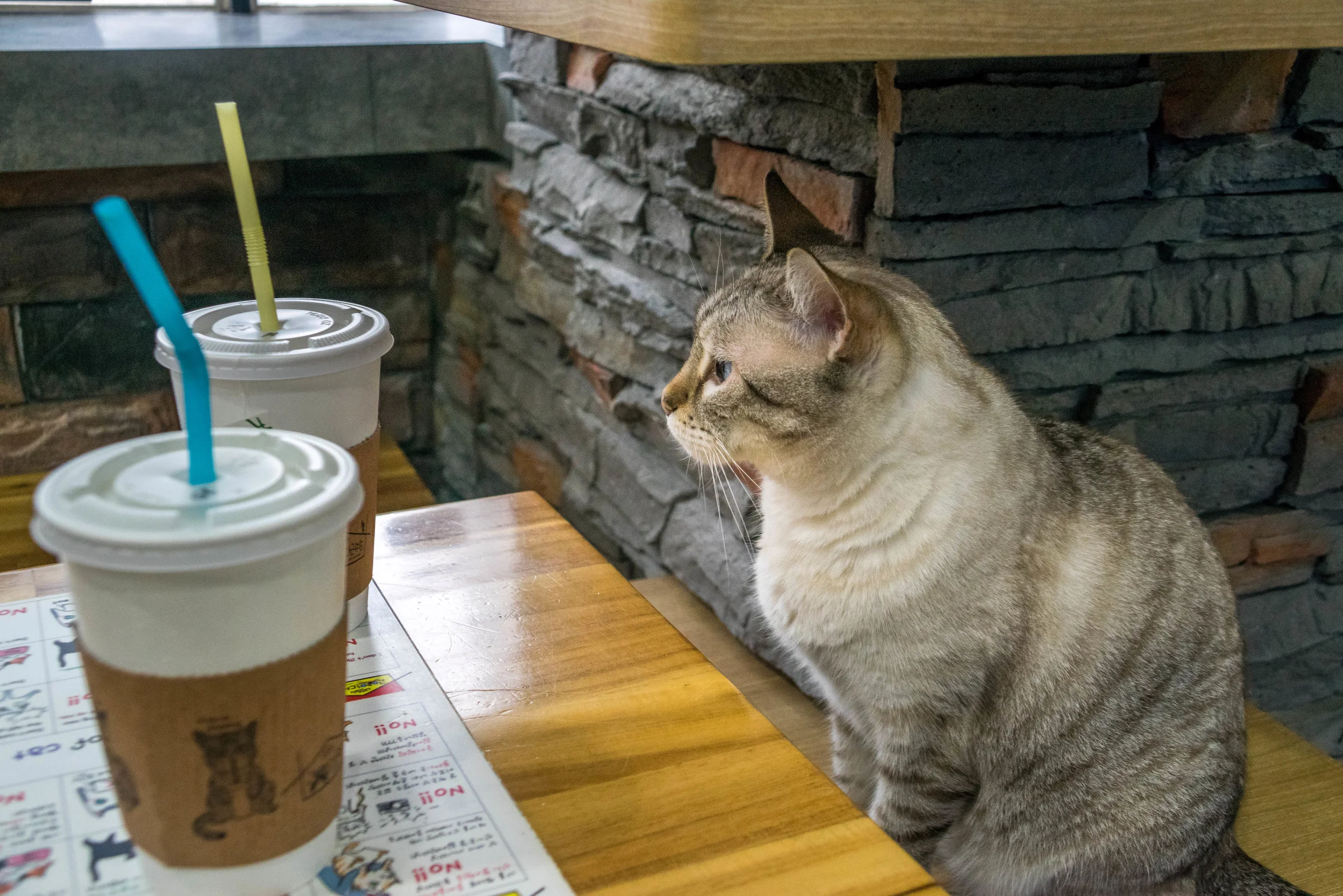 20180915-_DSC0643.jpg