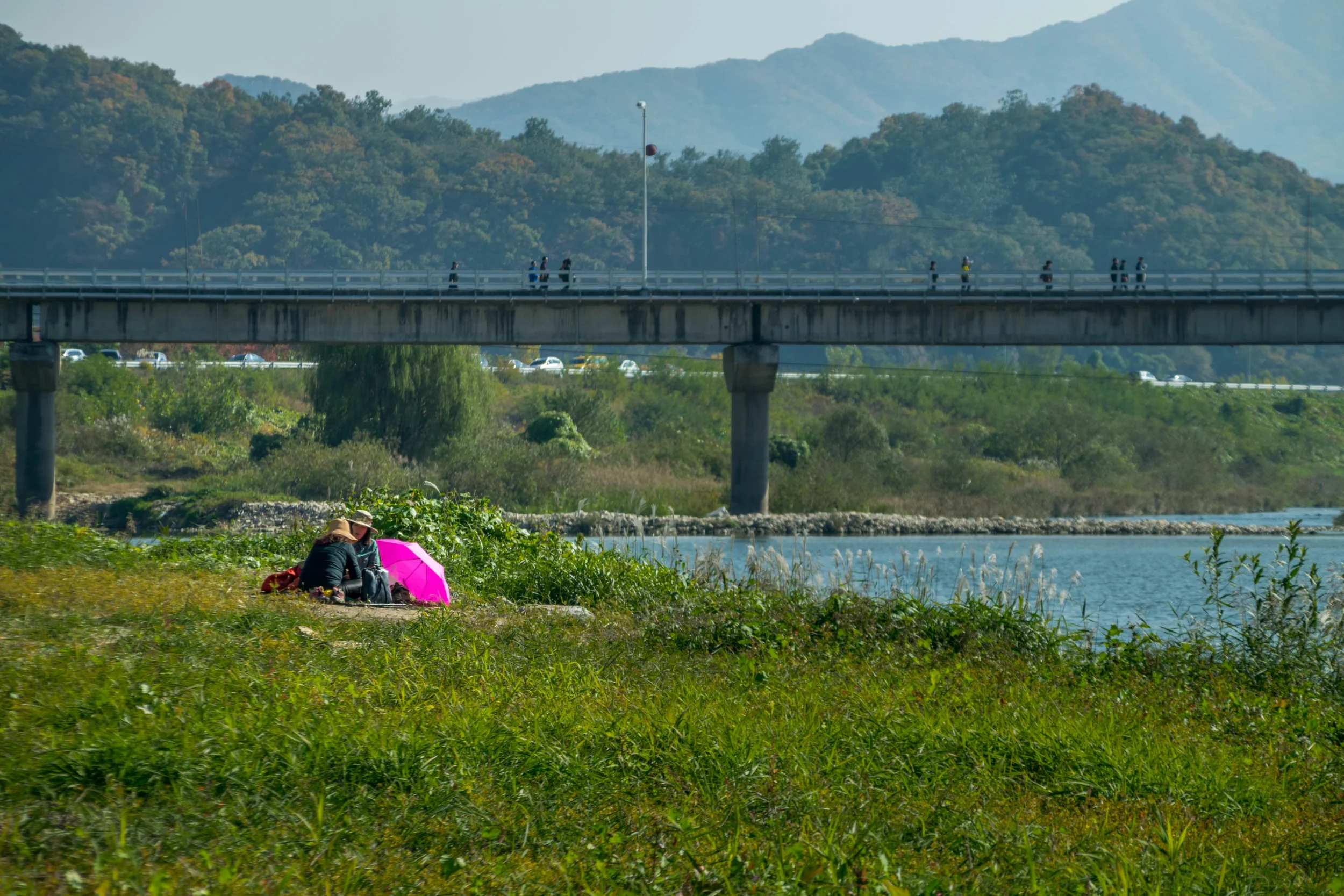 20181021-_DSC0138.jpg