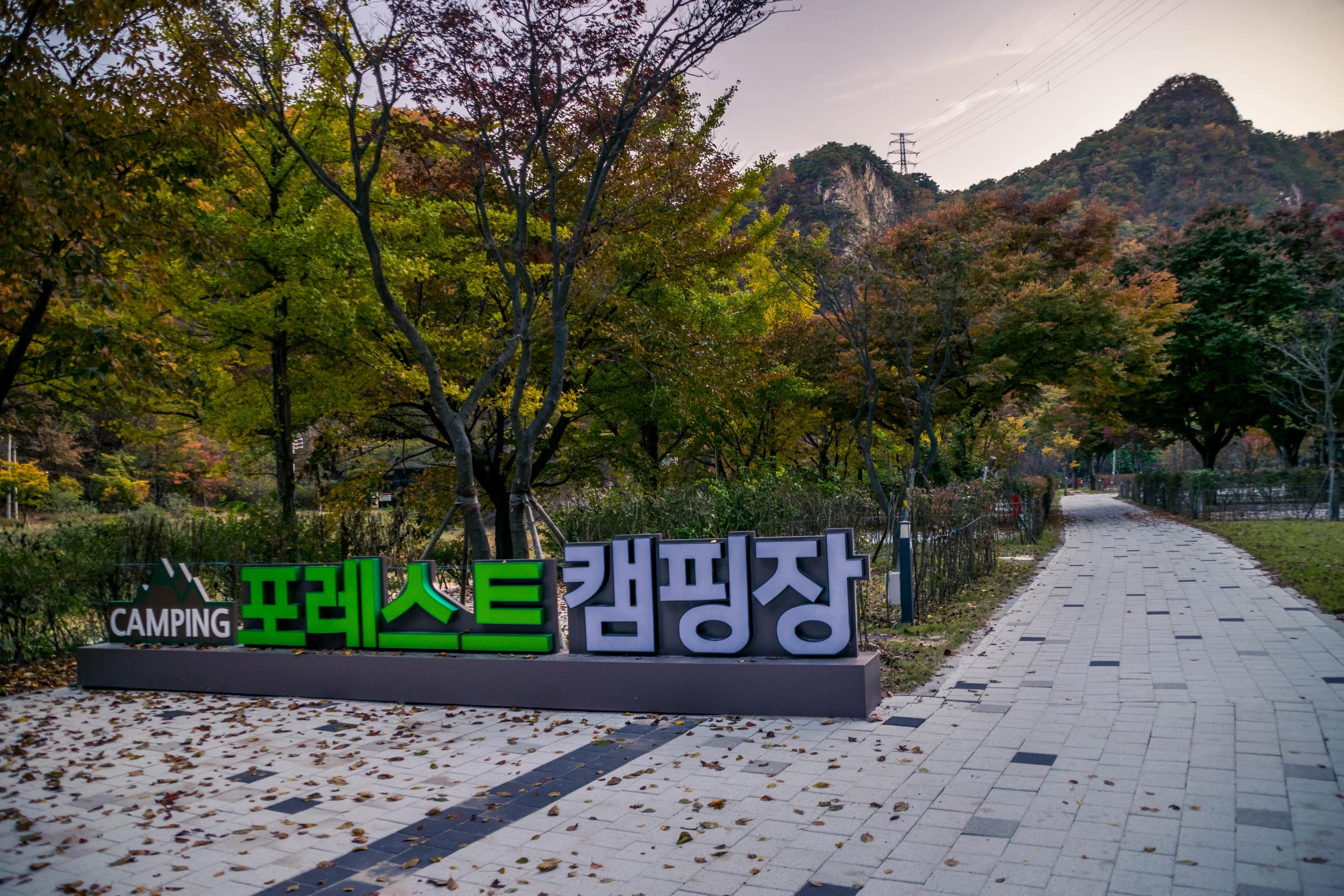 20181021-_DSC0343.jpg
