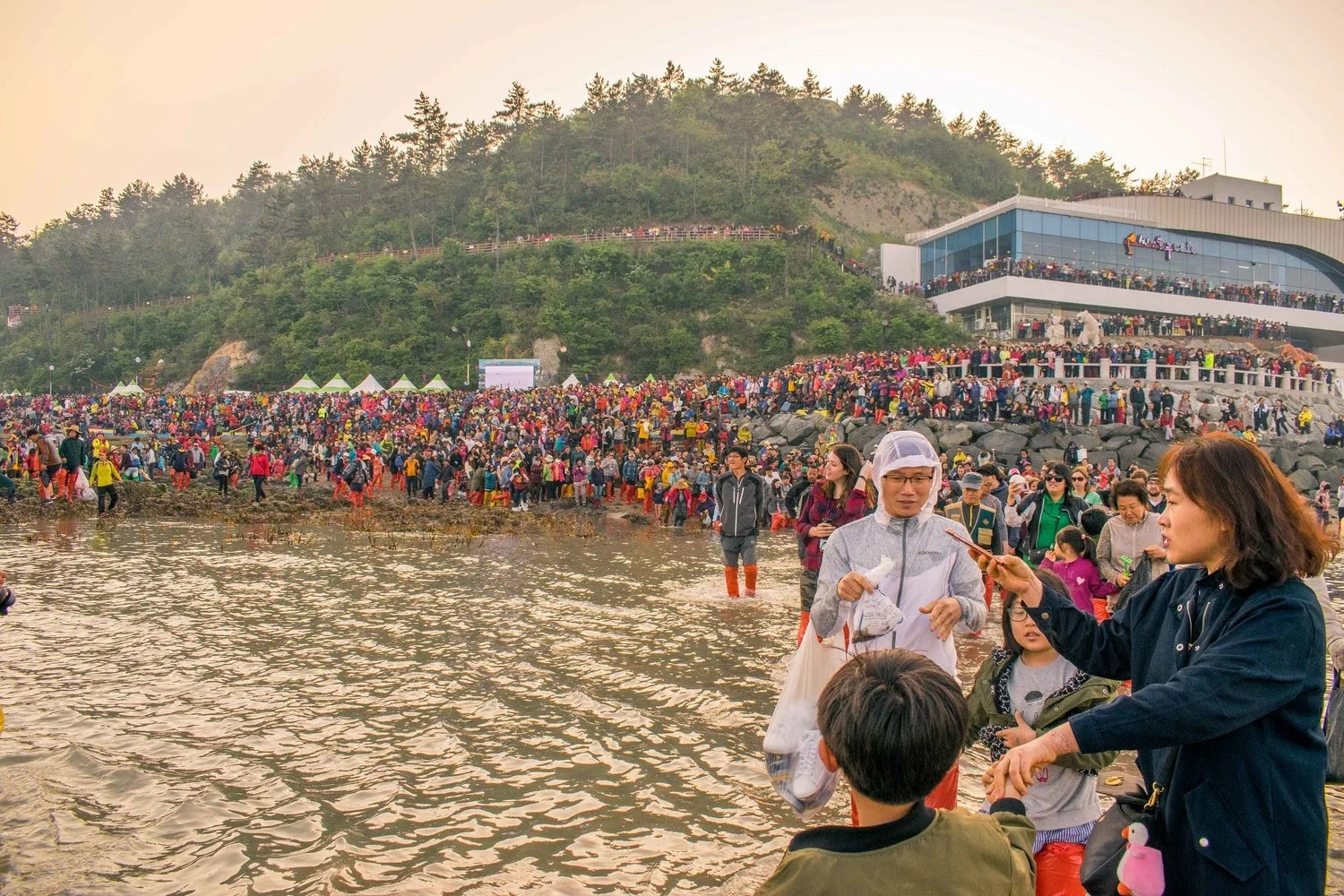 Jindo Sea Parting Festival