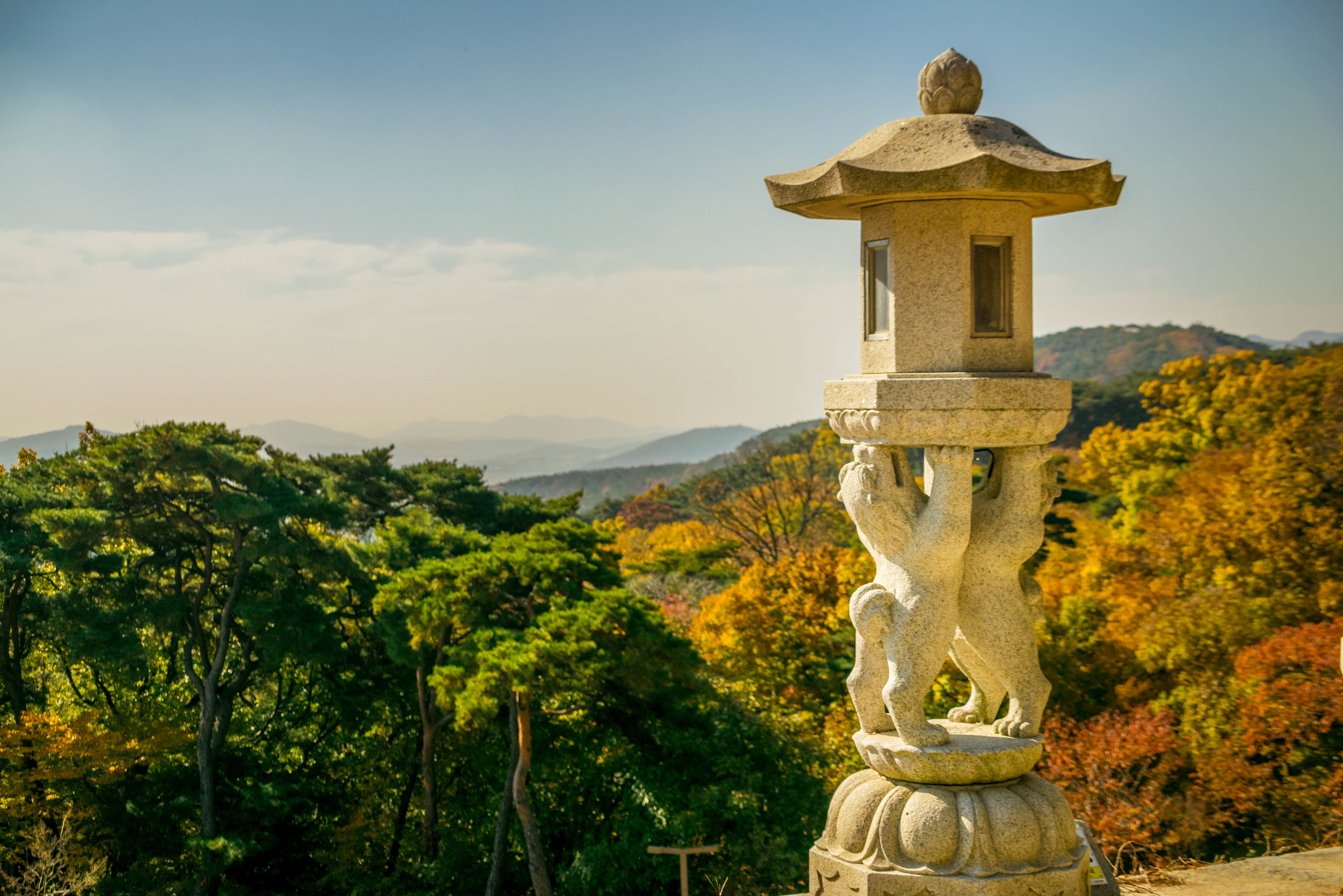 20181102-_DSC0463.jpg