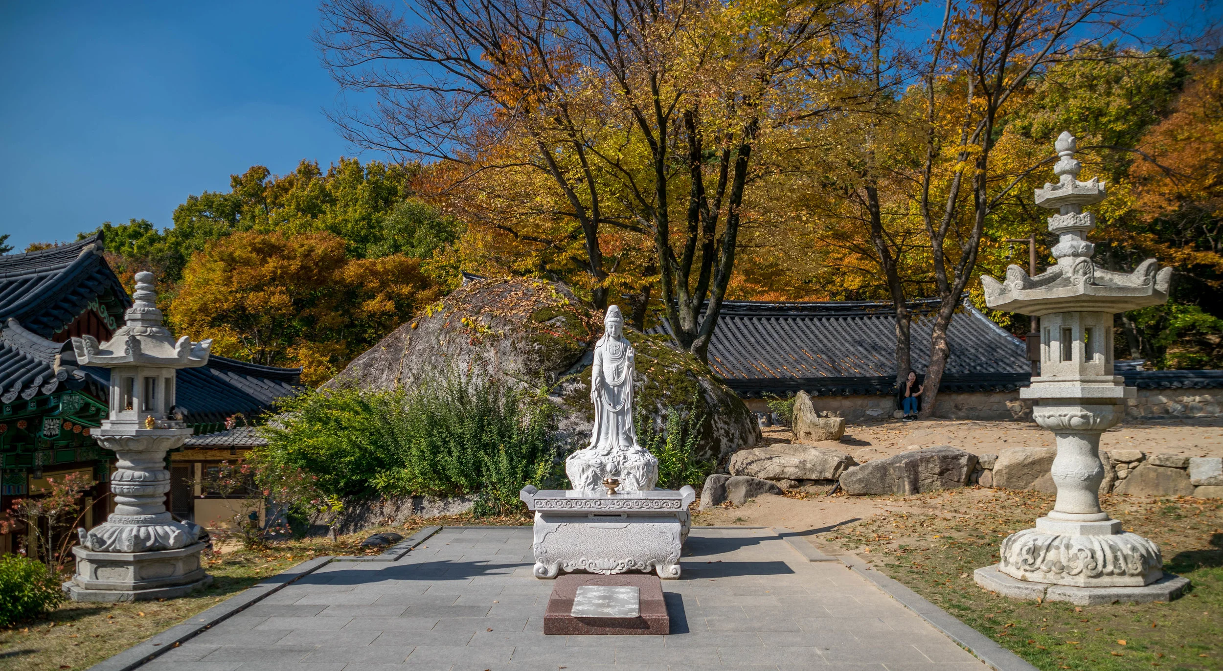20181102-_DSC0490.jpg