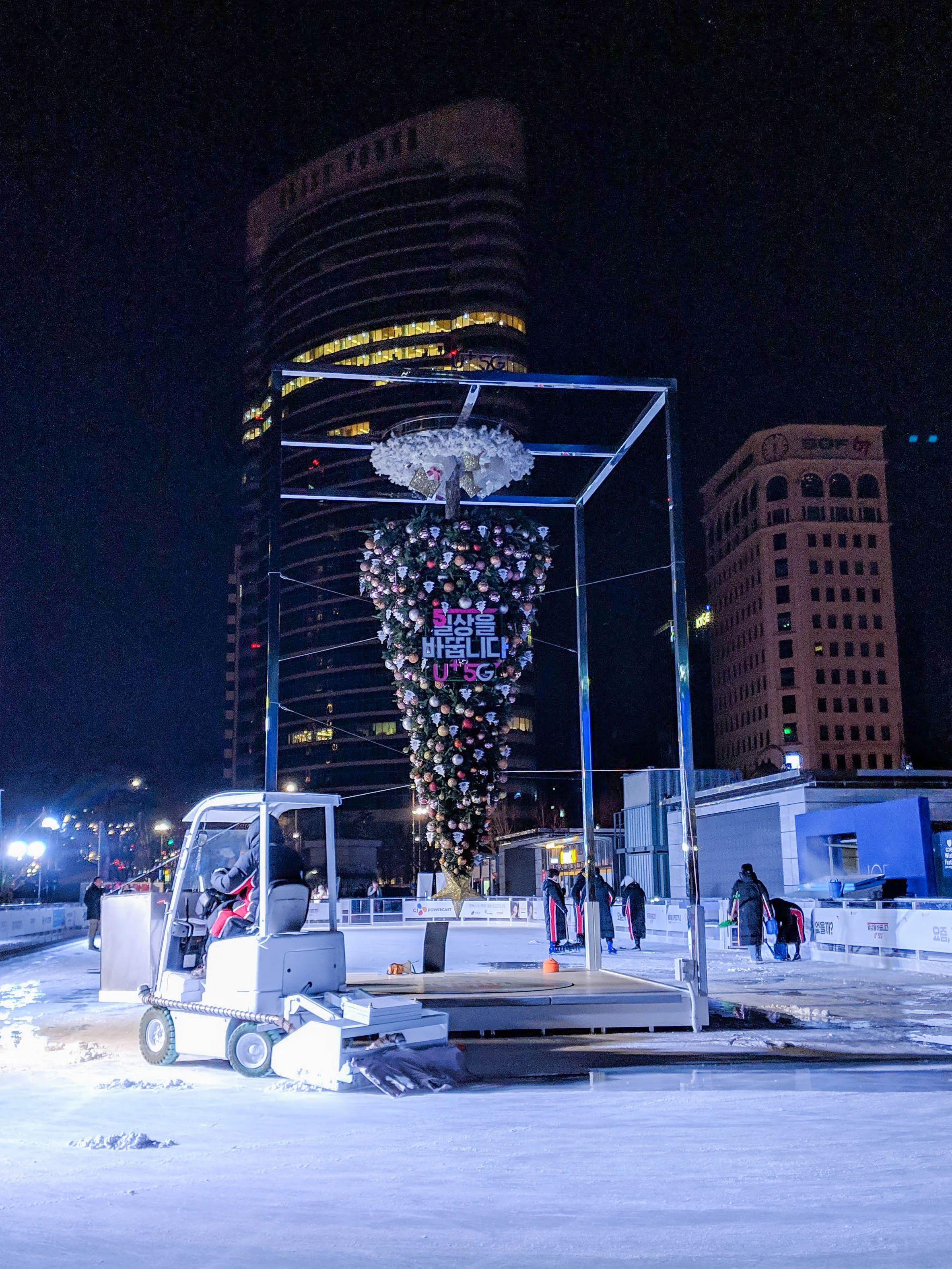 Upside down tree…why not?