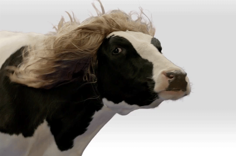Going to the Hair Salon