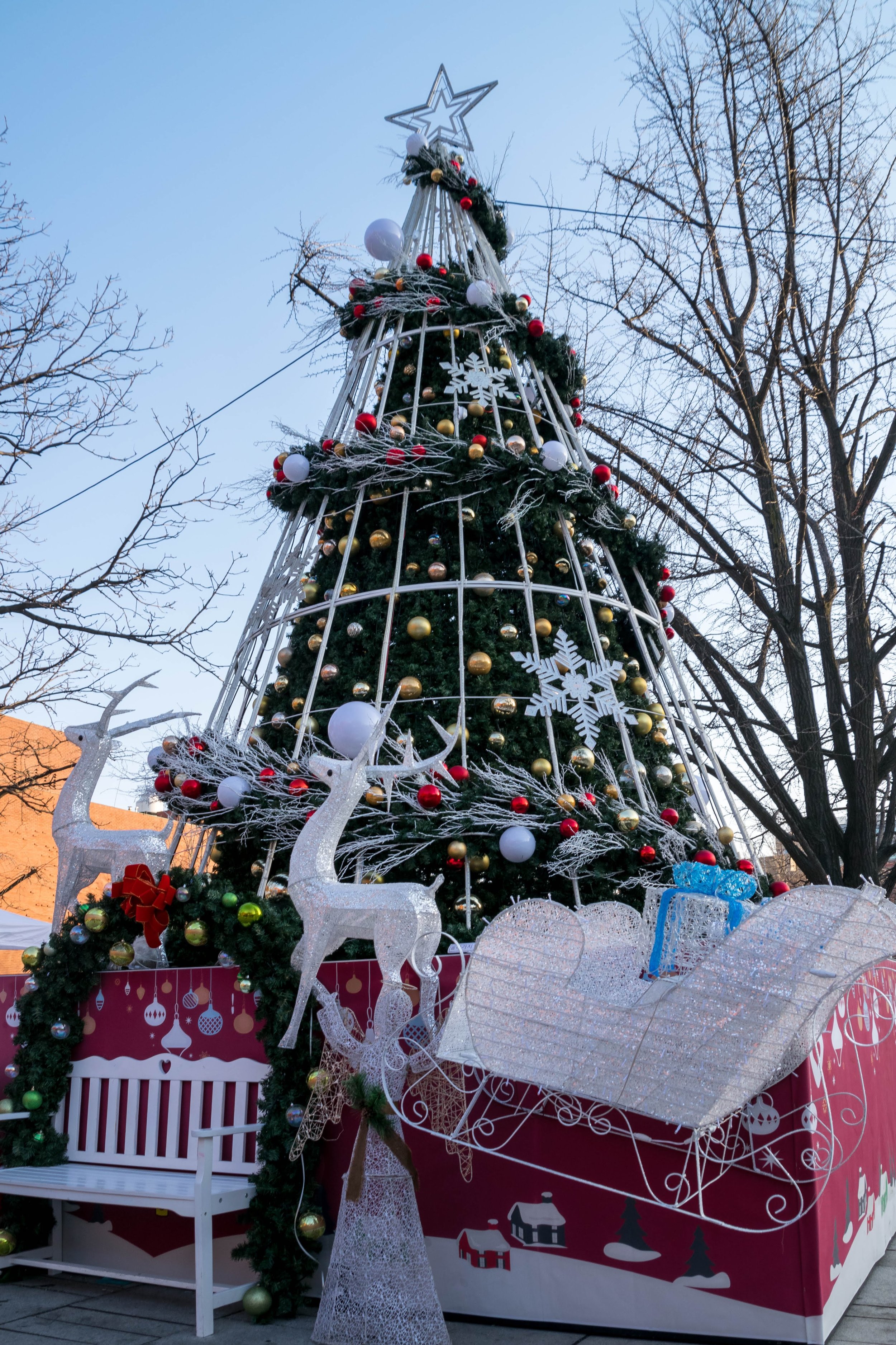 20181223-_DSC0751.jpg
