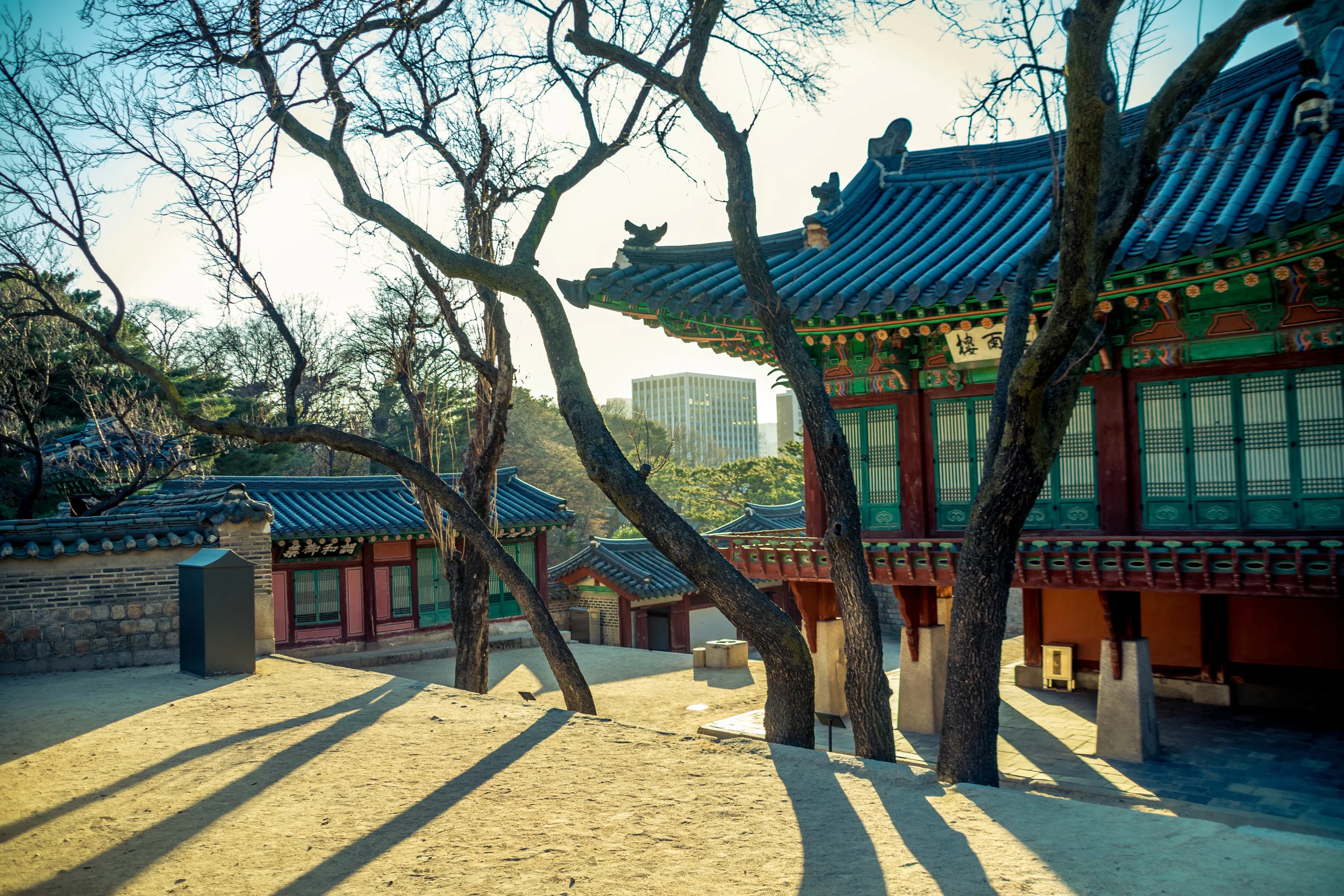 20190106-_DSC0017.jpg