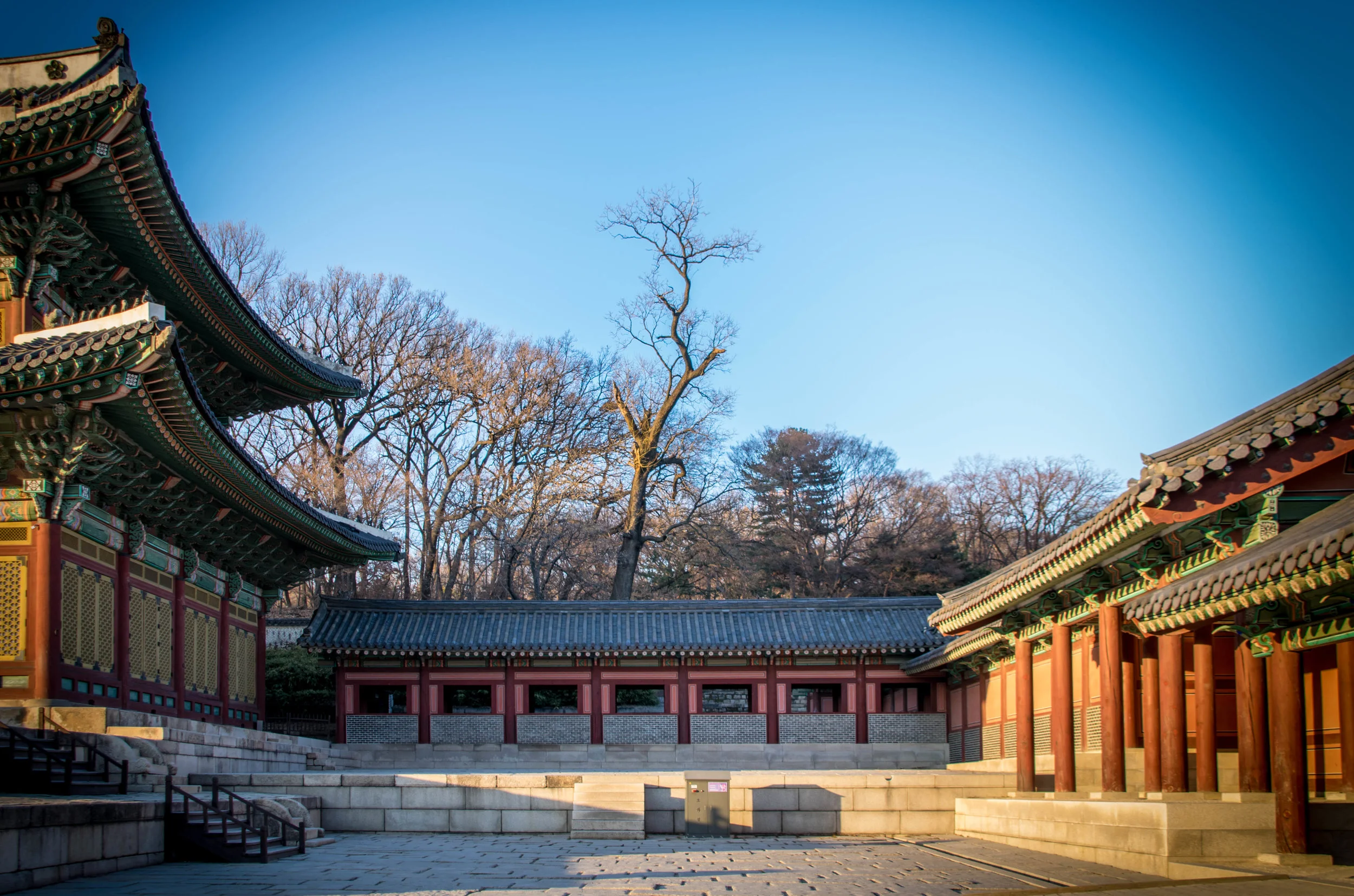 20190106-_DSC0092.jpg