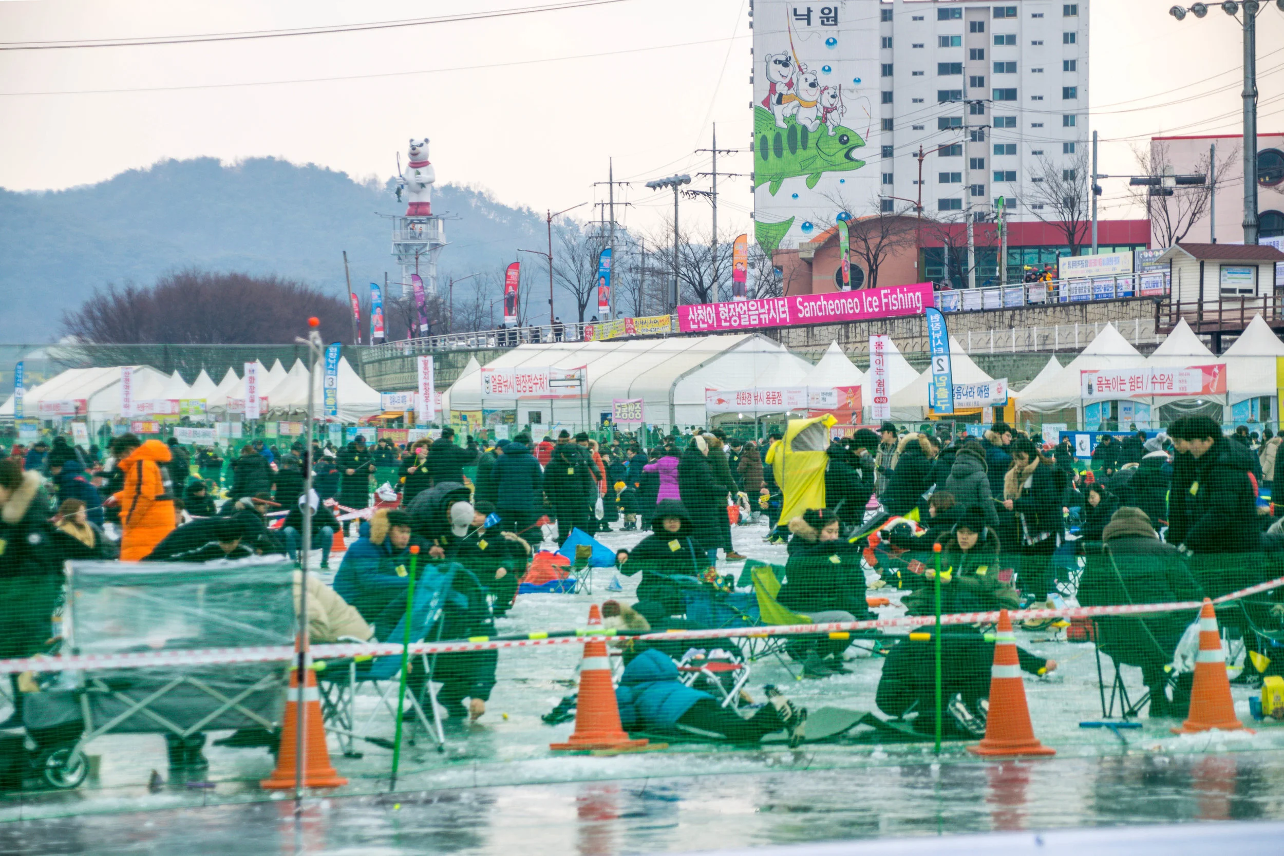 20190119-_DSC0459.jpg