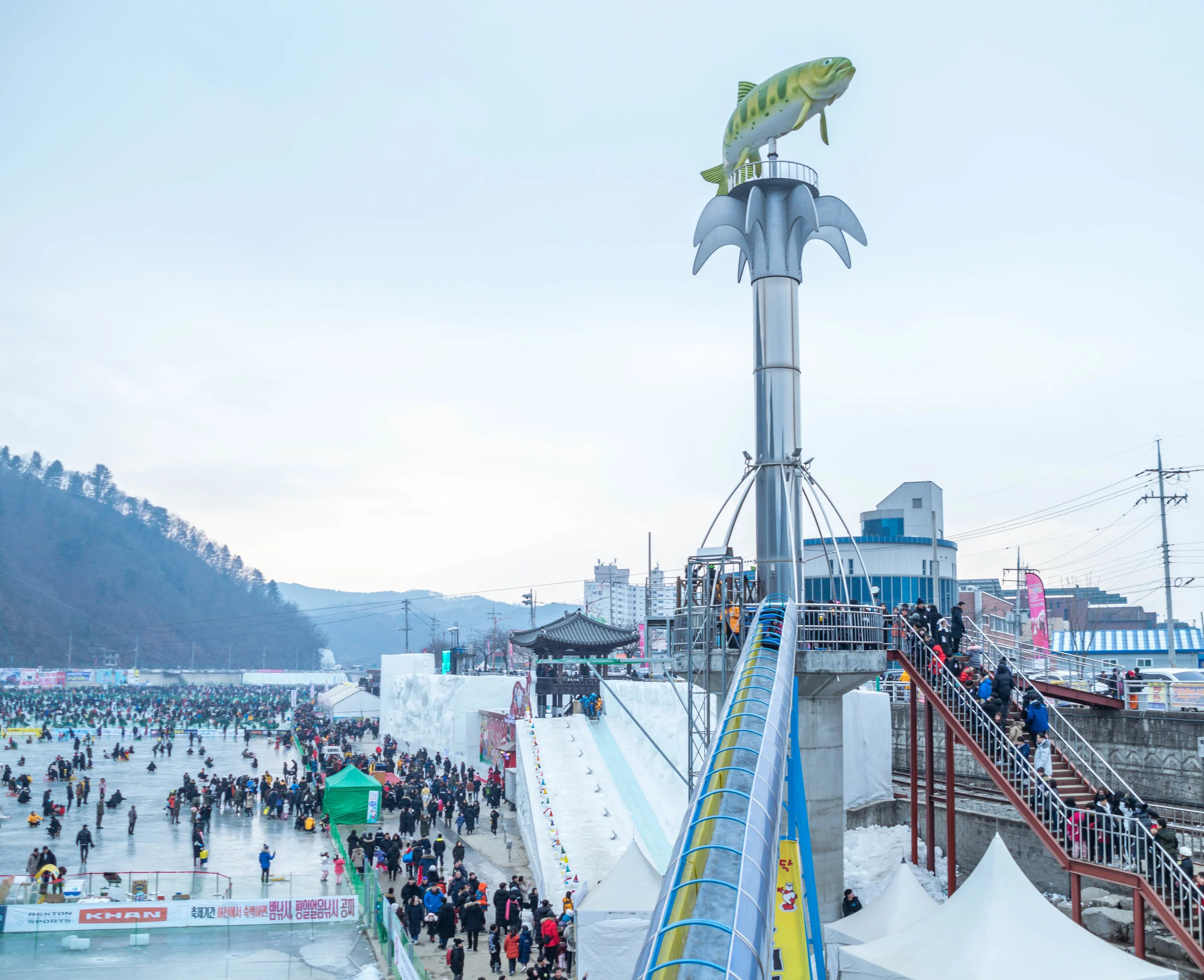 20190119-_DSC0485.jpg