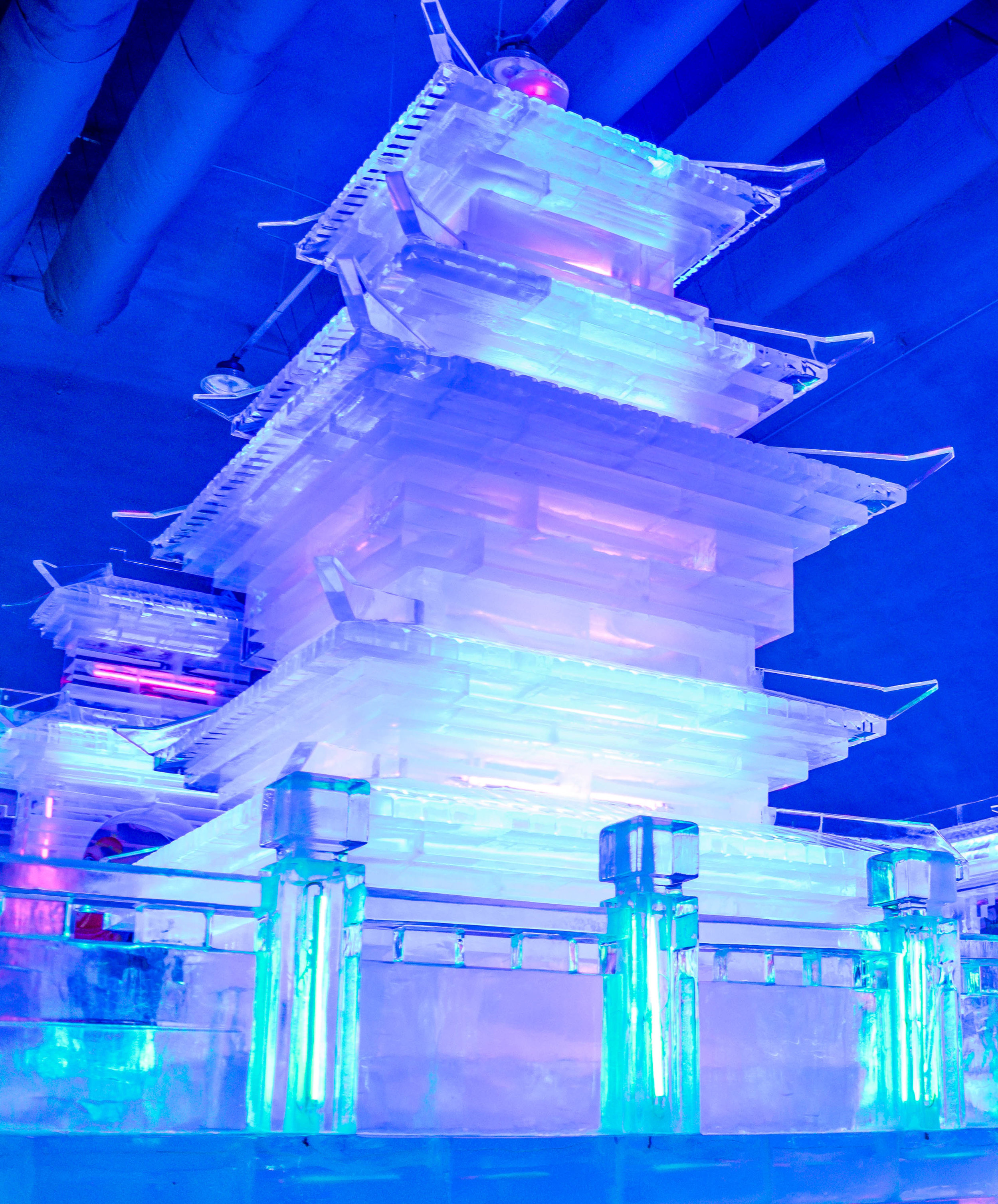 20190119-_DSC0574.jpg