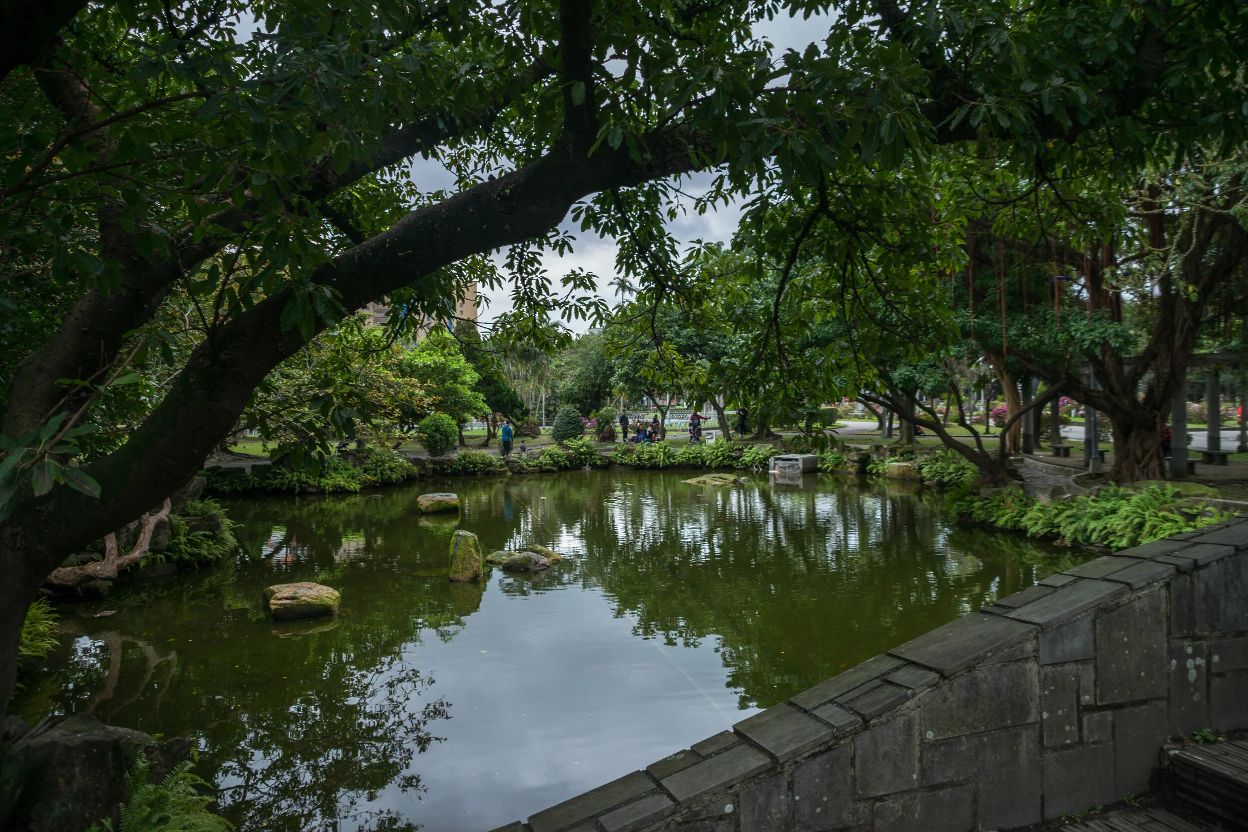 20190306-_DSC0772.jpg