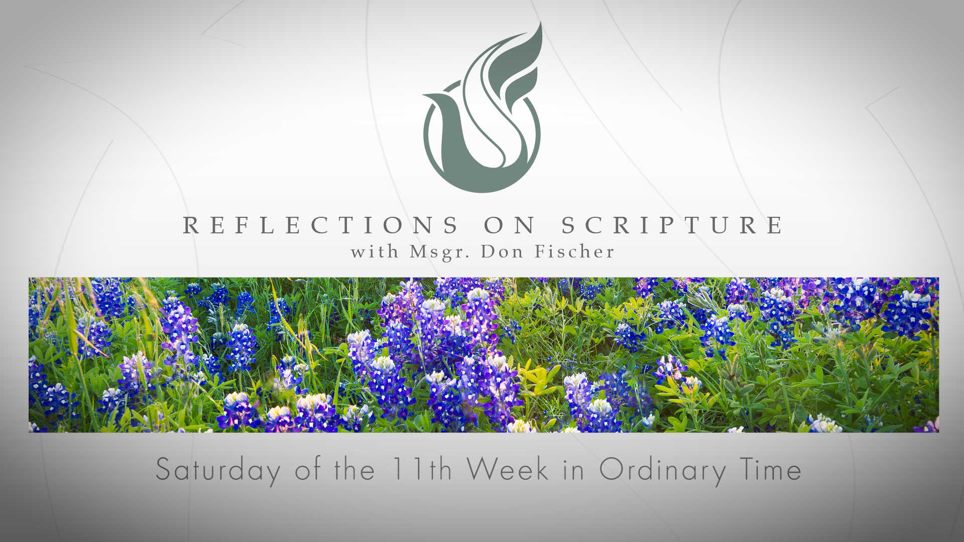 PRI Reflections on Scripture | Saturday of the 11th Week in Ordinary Time