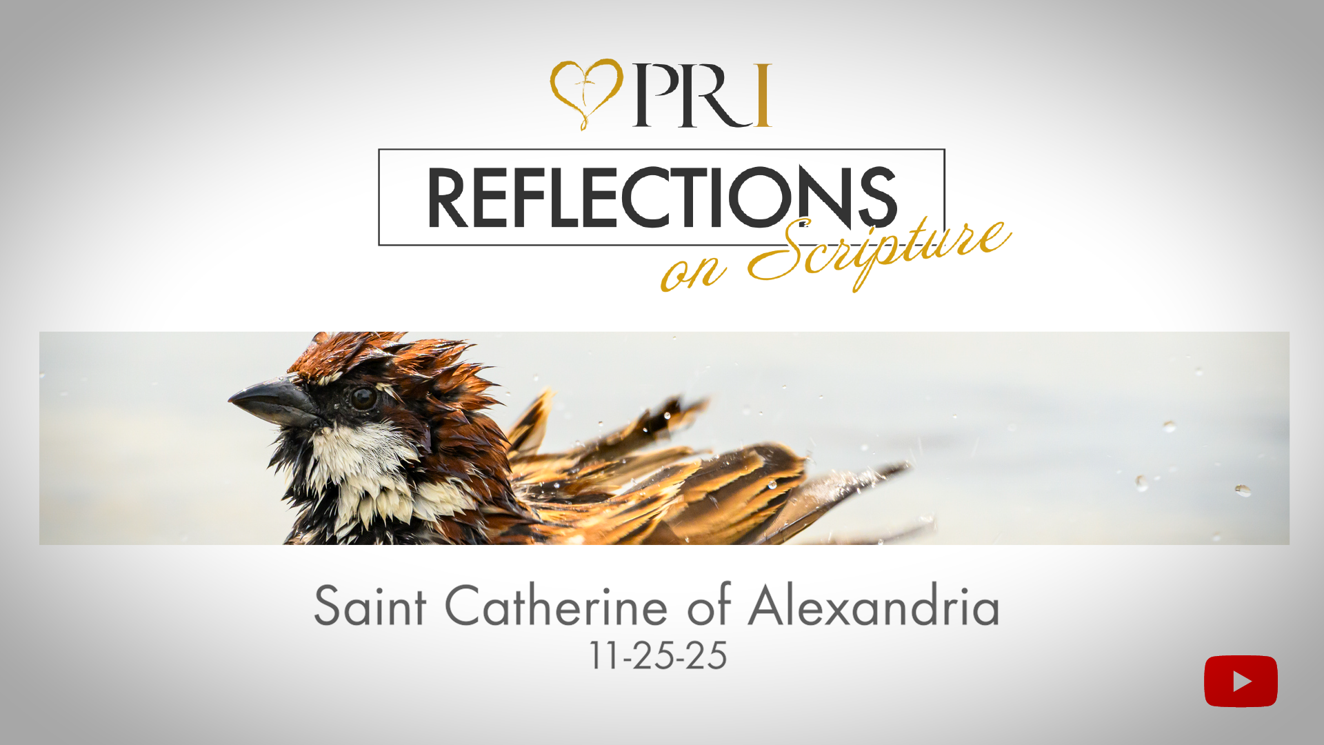 PRI Reflections on Scripture | Memorial of Saint Catherine of Alexandria, Virgin and Martyr